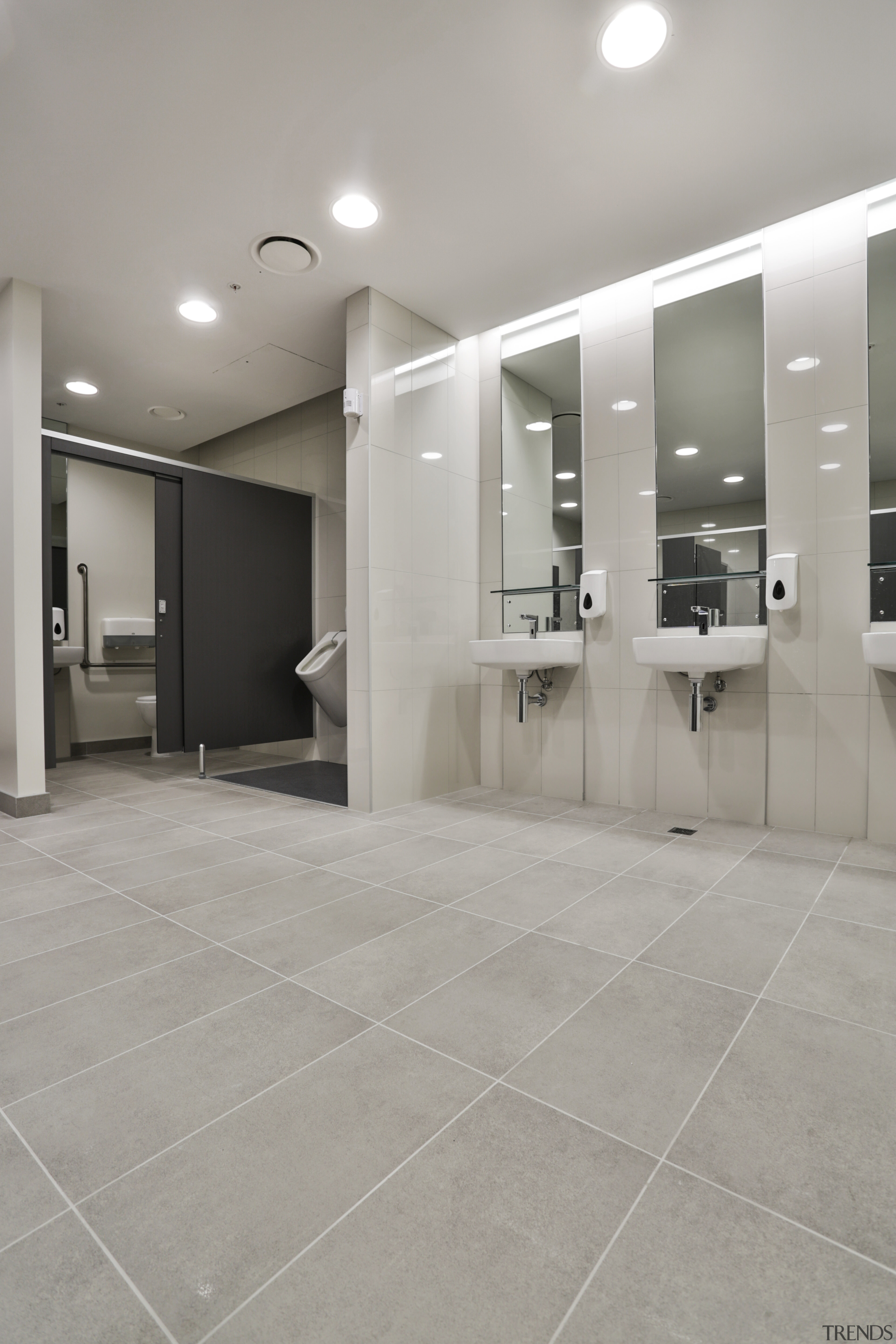 As part of the refined fit-out of the bathroom, floor, flooring, interior design, laminate flooring, lobby, real estate, tile, wood flooring, gray