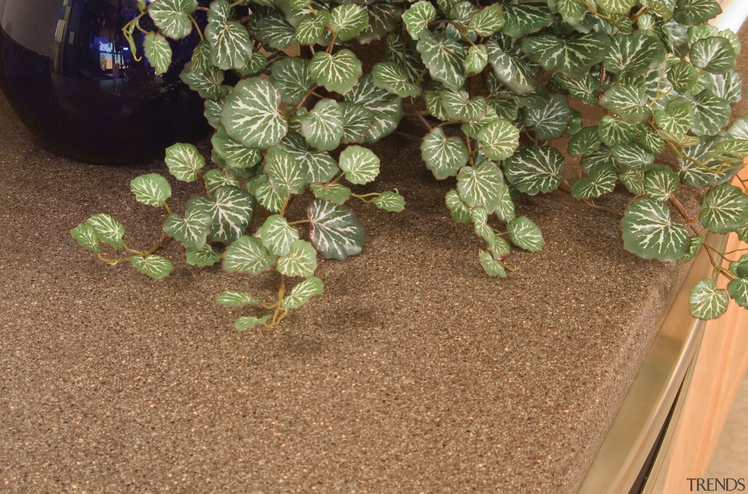 A close up view of the grey benchtop, flowerpot, grass, plant, tree, brown