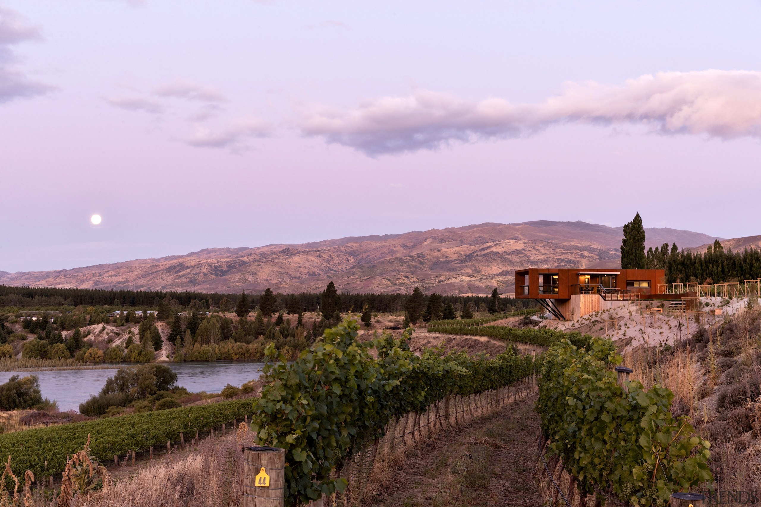 Seen from a distance the cellar door's Corten purple, brown