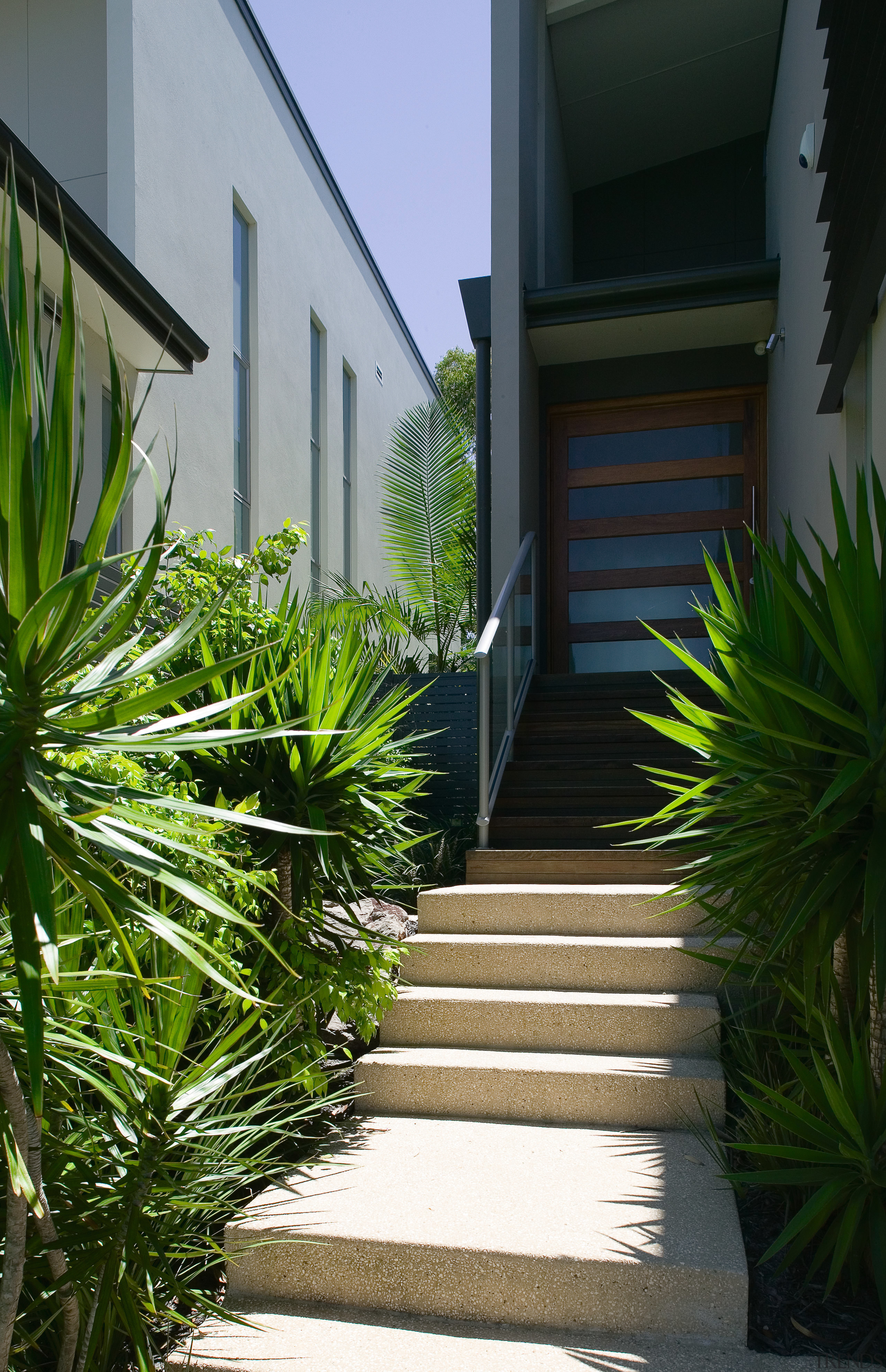 A view of some landscaping done by Eureka architecture, arecales, courtyard, estate, grass, home, house, landscaping, palm tree, plant, property, real estate, residential area, walkway, window, yard, black
