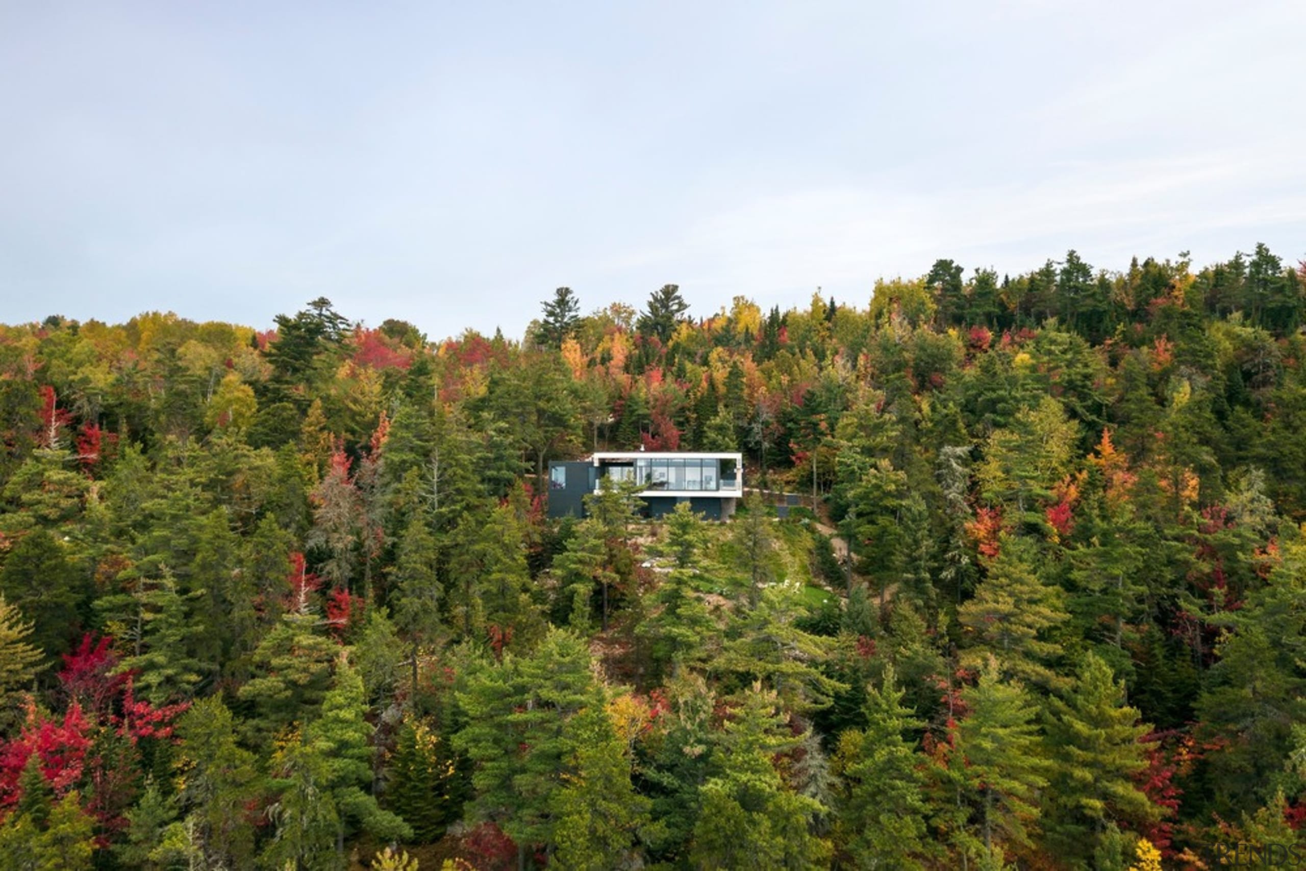 The house sits delicately on a narrow escarpment autumn, biome, conifer, forest, leaf, natural environment, nature, pine family, plant, plant community, shrubland, sky, temperate broadleaf and mixed forest, tree, tropical and subtropical coniferous forests, vegetation, wilderness, woody plant, brown, white