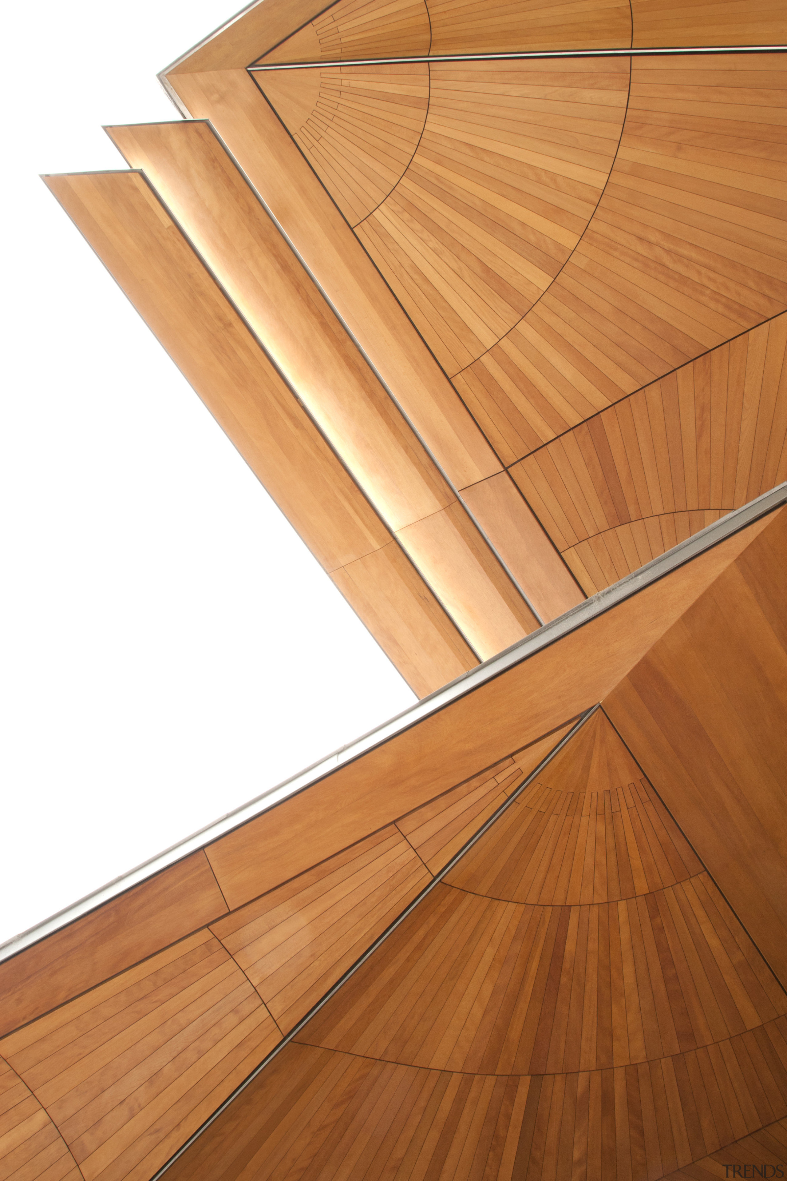 Here is a view of the kauri canopy angle, daylighting, floor, flooring, hardwood, laminate flooring, line, plywood, wood, wood flooring, wood stain, orange, brown