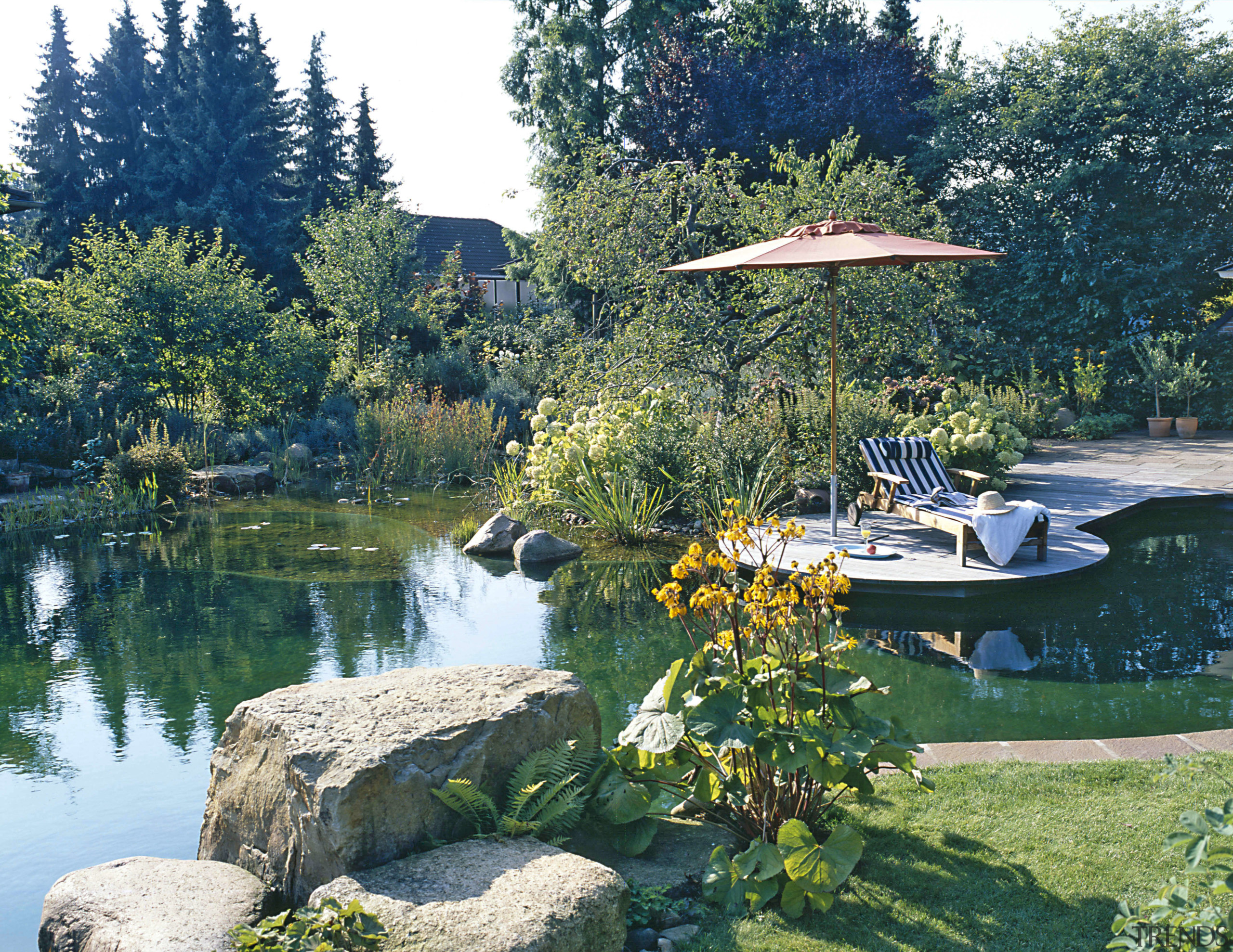 View of the self-cleaning swimming pool - View lake, landscape, leisure, nature reserve, plant, pond, reflection, reservoir, river, tree, water, water feature, water resources, watercourse, waterway, teal