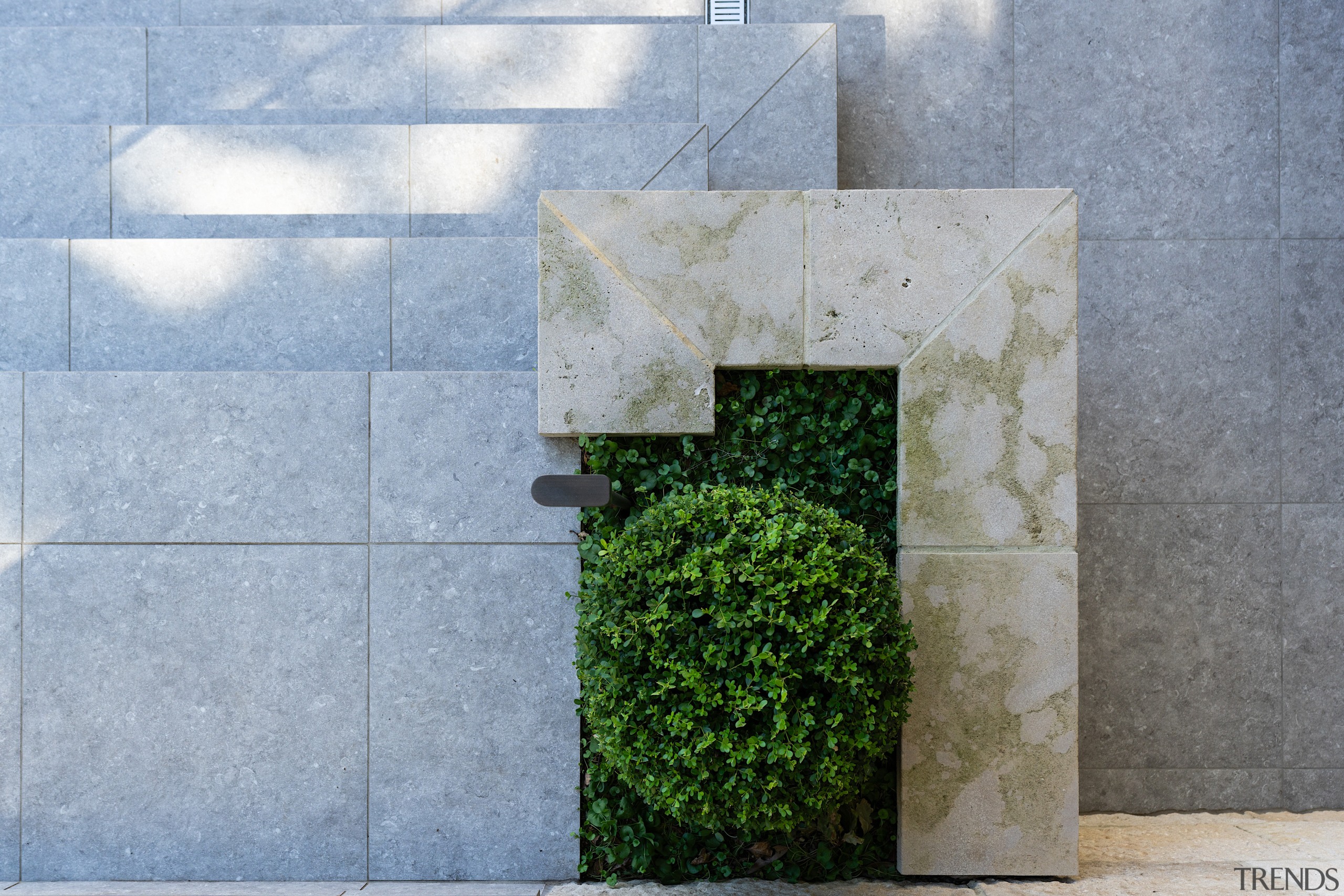 Drone's eye view of pocket greenery. - Seamless 