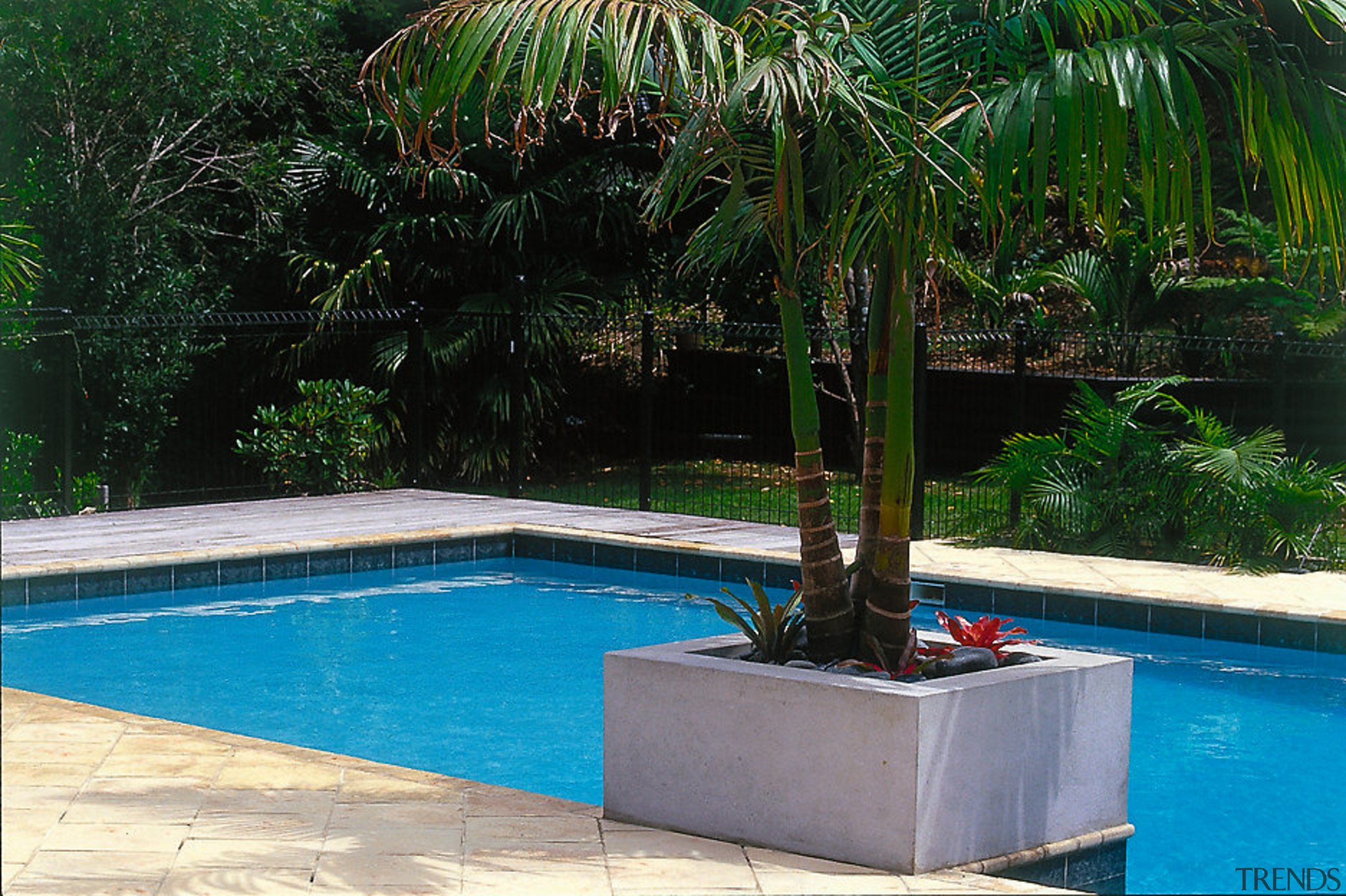 View of landscape design and poolside - View arecales, backyard, landscaping, leisure, outdoor structure, palm tree, plant, property, real estate, swimming pool, tree, water, water feature, green