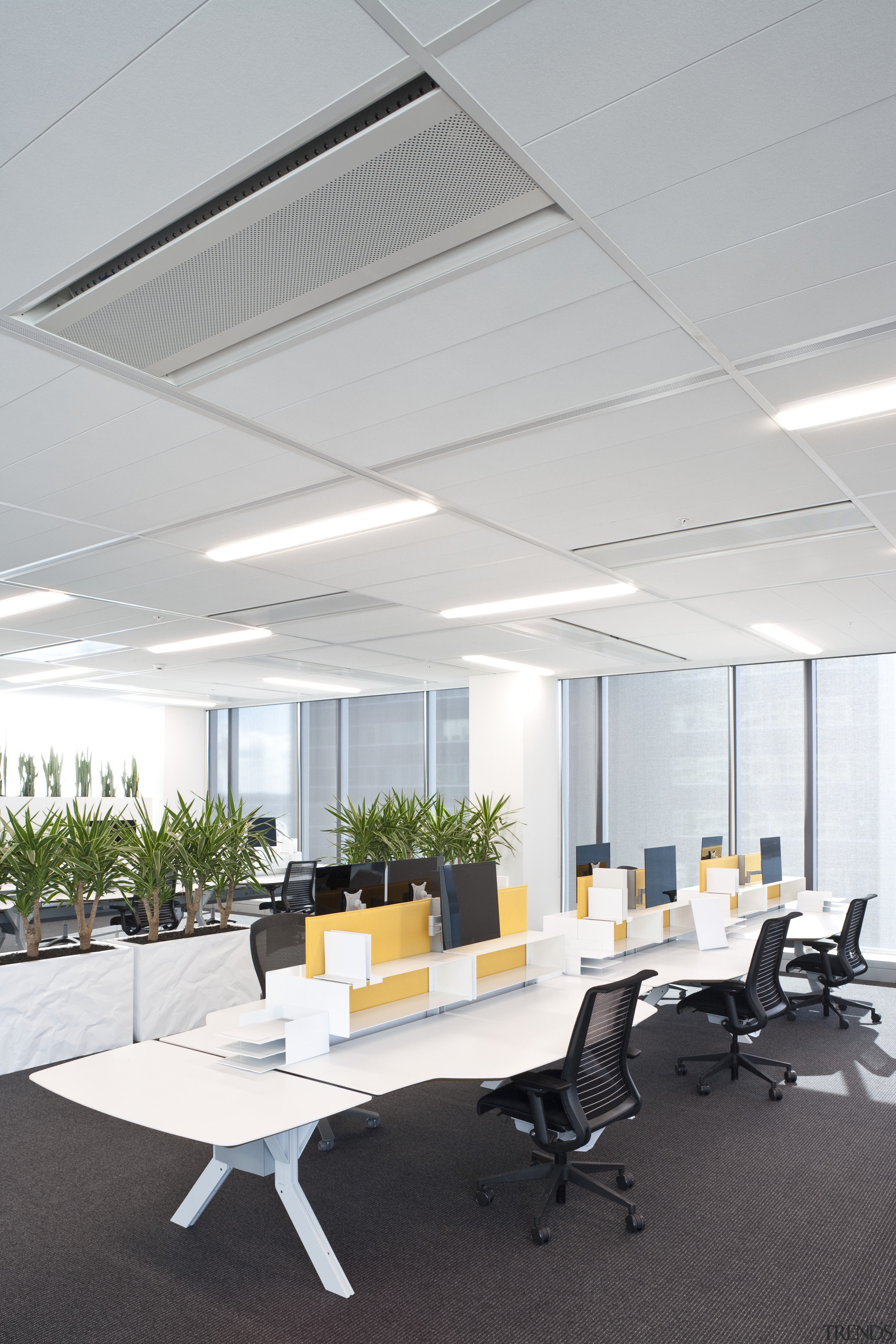 internal office view of 21 Queen St development. architecture, ceiling, conference hall, daylighting, furniture, interior design, office, product design, gray