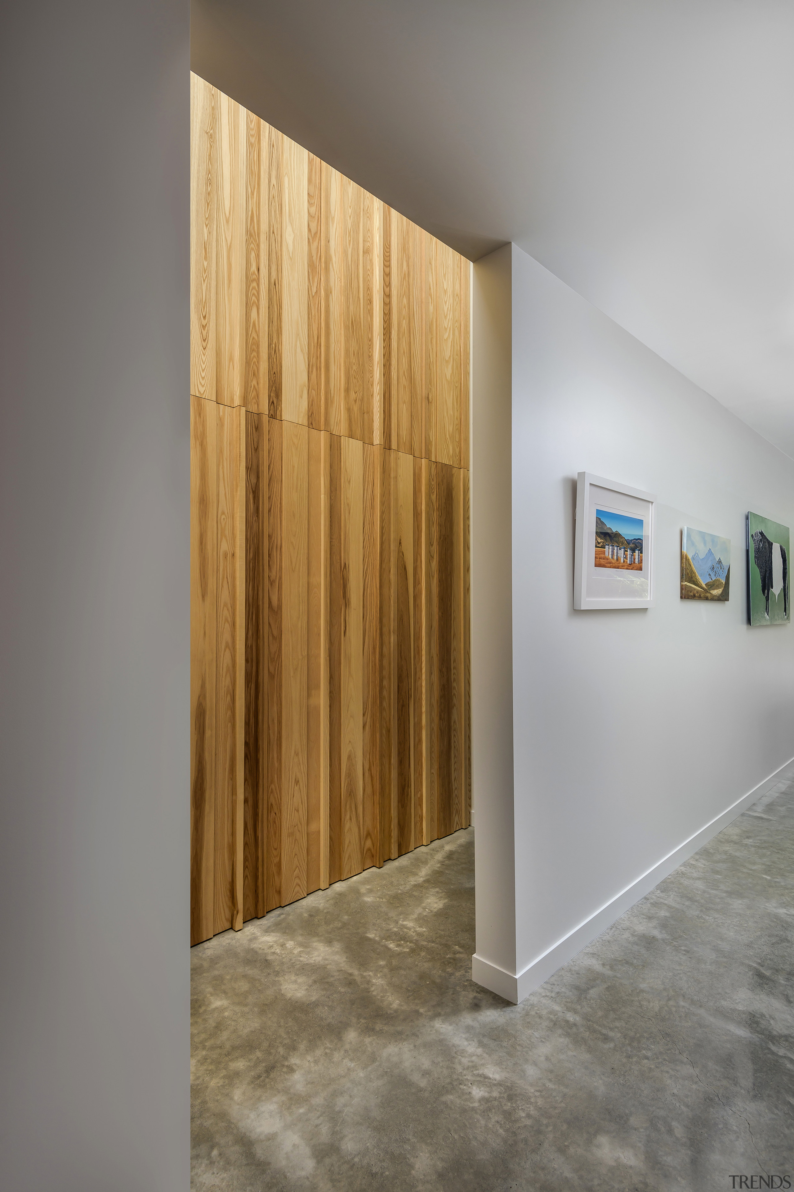 A light well with ash timber-clad feature wall 