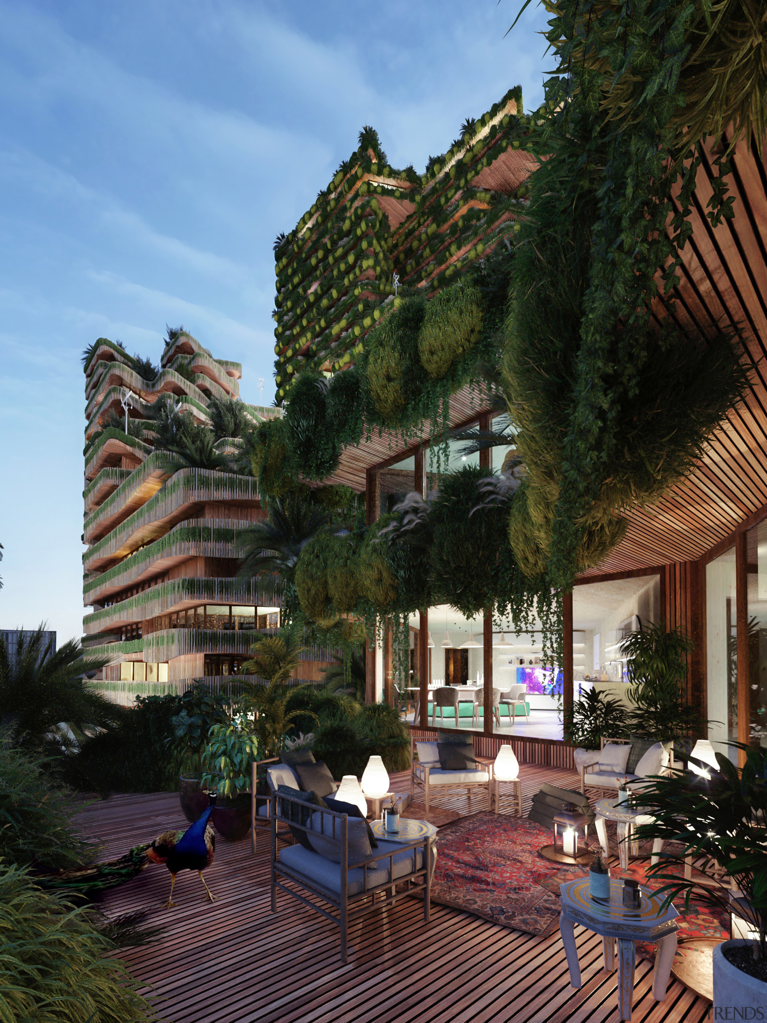 MITOSIS XL – view from a shared terrace. 