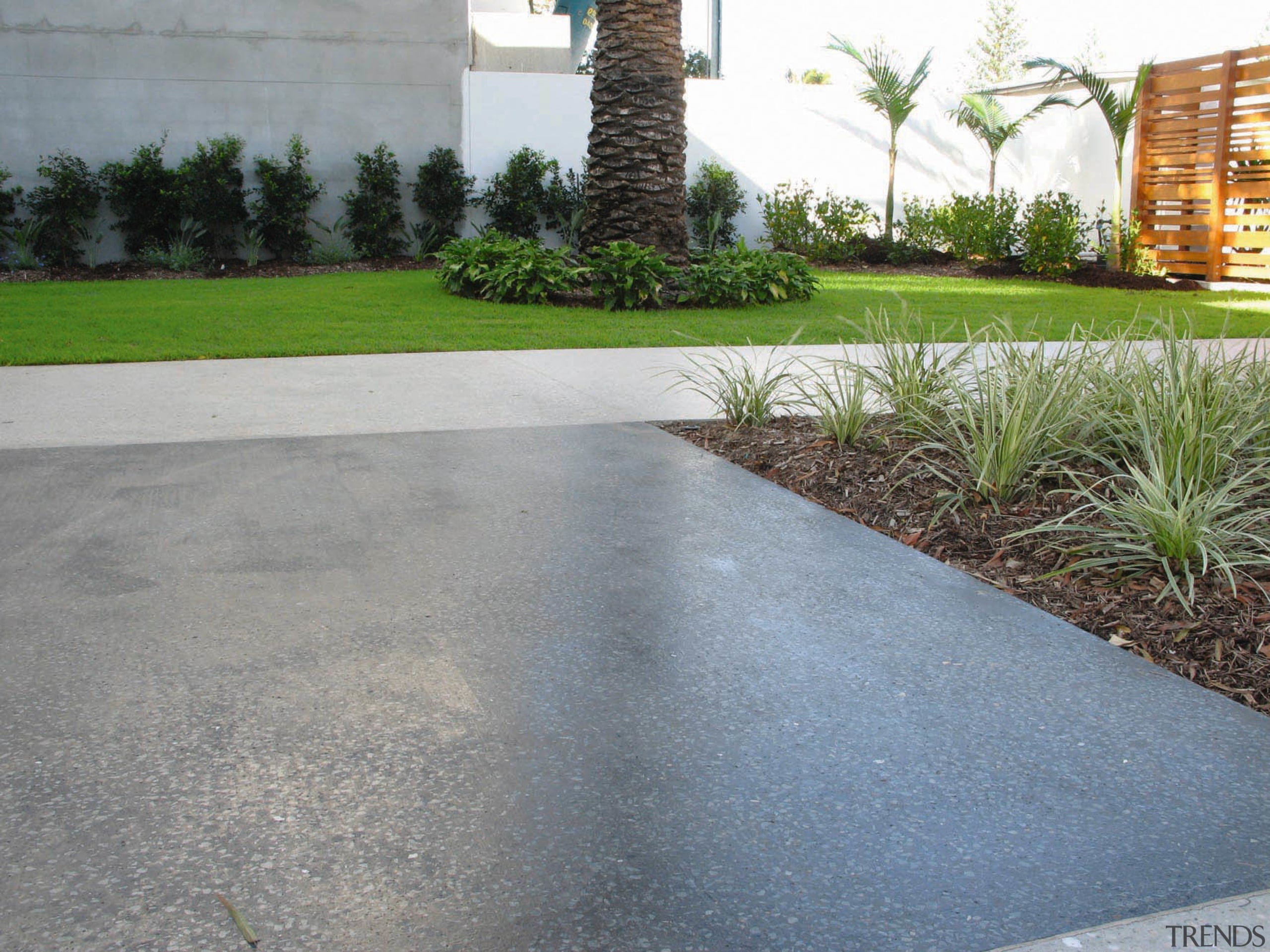 view of the boralstone polished concrete driveway - asphalt, driveway, grass, landscape, lawn, path, plant, road surface, walkway, gray