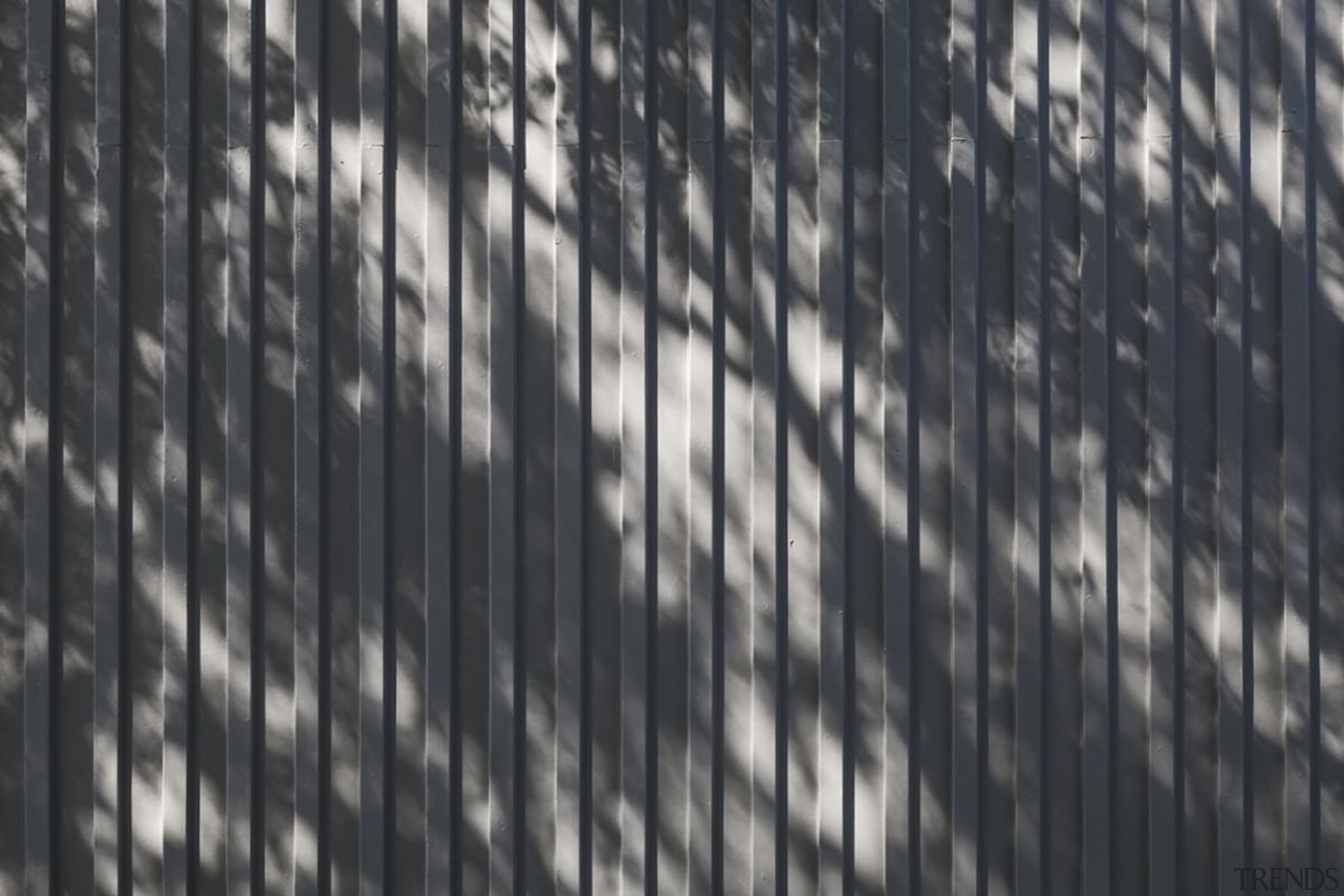 A view of the siding - A view black, black and white, daytime, fence, light, line, metropolis, monochrome, monochrome photography, pattern, reflection, sky, sunlight, texture, tree, wood, black, gray