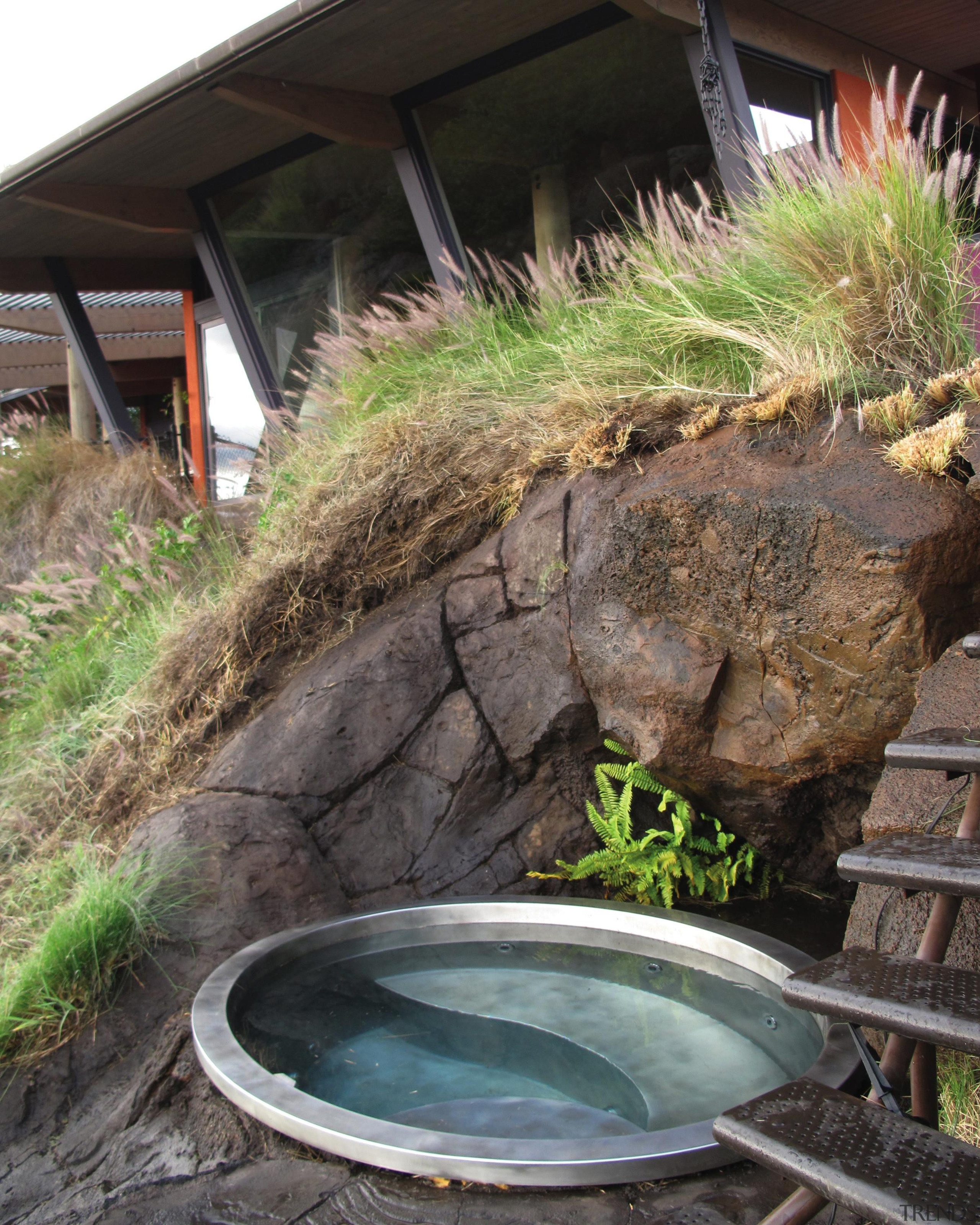 300dpi hawaii eliptical spa with stairs ascending.jpg grass, plant, pond, water, water resources, black