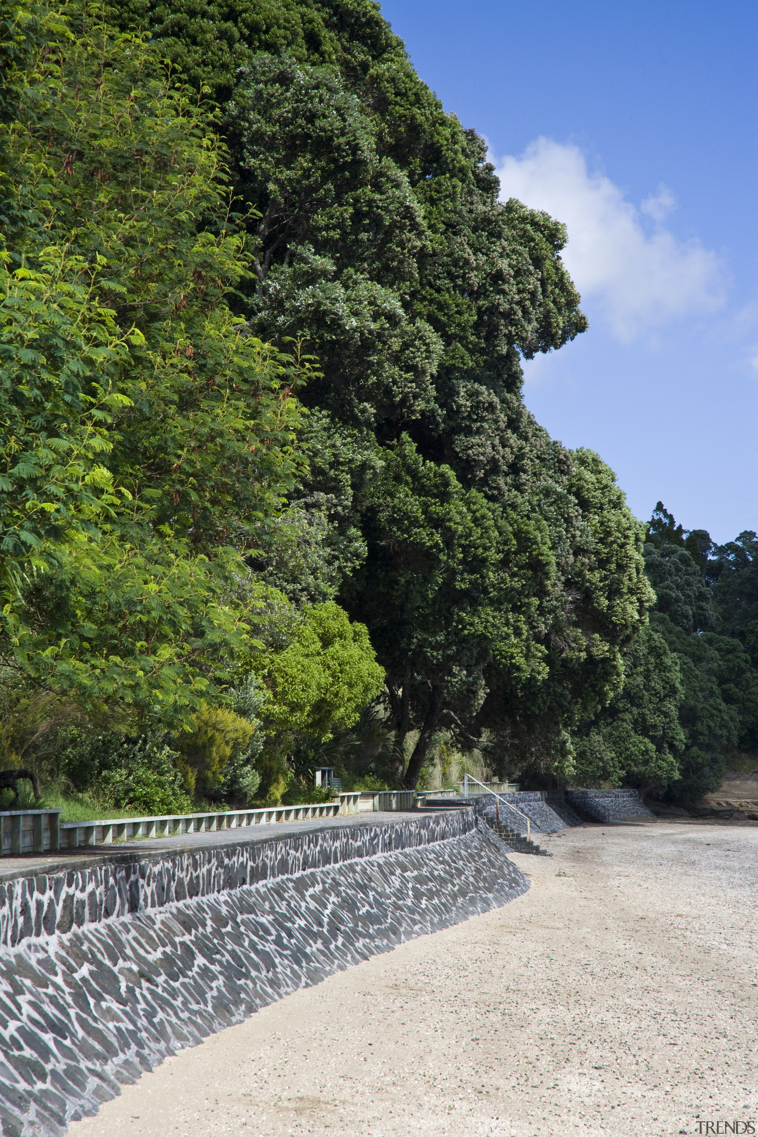 Image of the new completed seawall. - Image leaf, nature, plant, road, sky, tree, vegetation, green