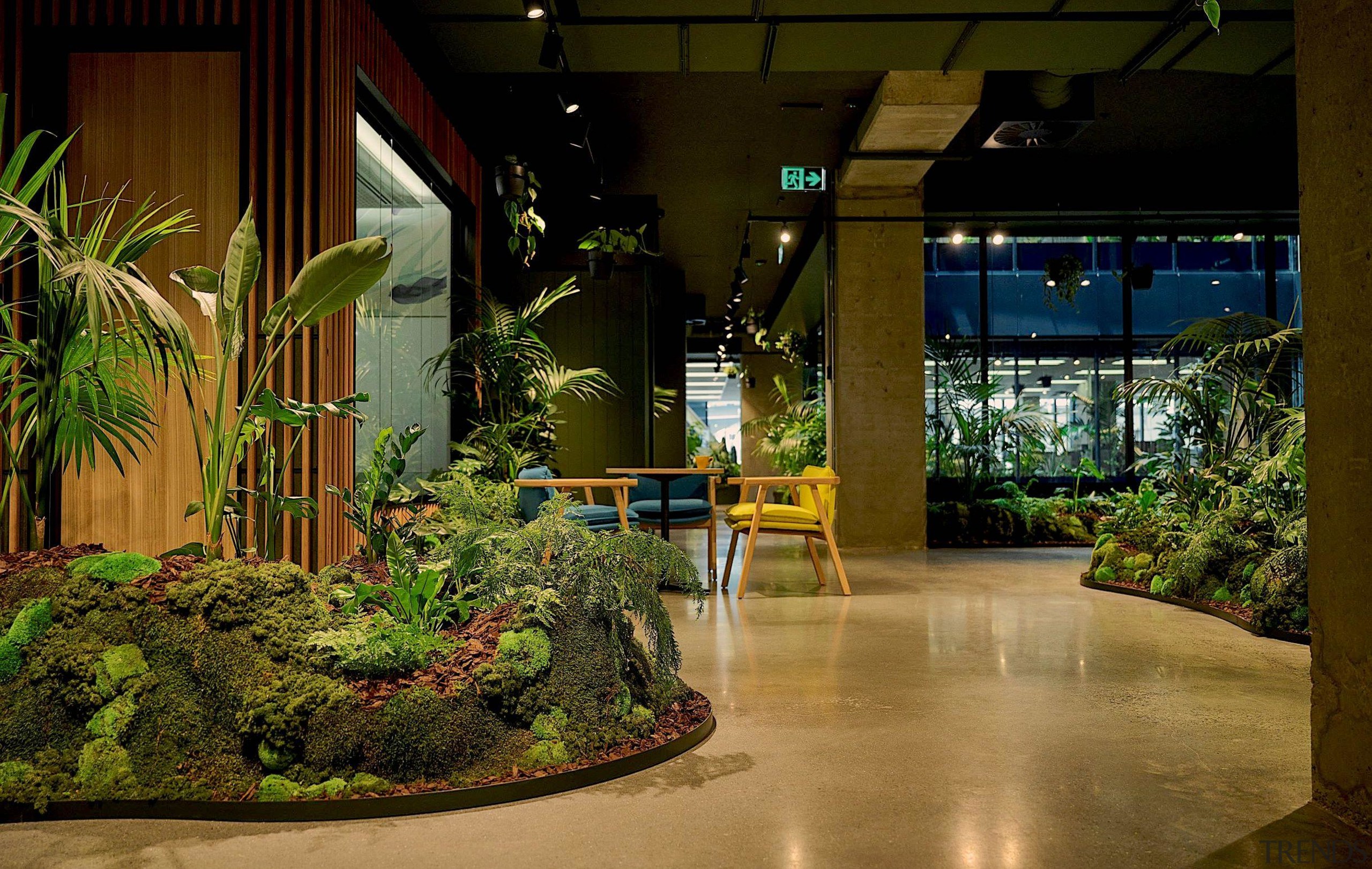 Another terrarium walkway looking out to the communal 