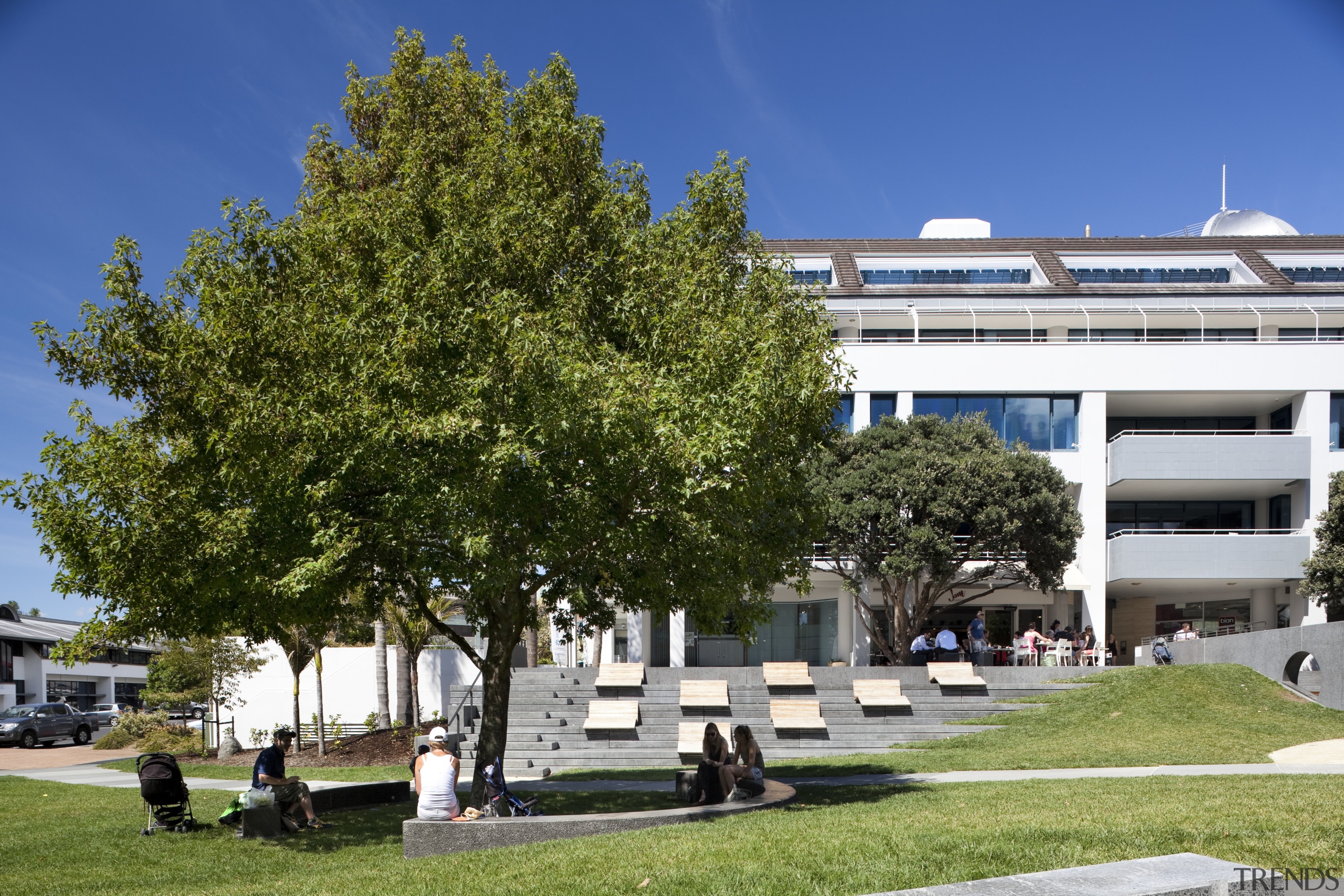 Arborlab Consultancy Services at Hurstmere Green - Arborlab architecture, building, campus, city, condominium, daytime, home, mixed use, neighbourhood, plant, real estate, residential area, sky, tree, woody plant, brown