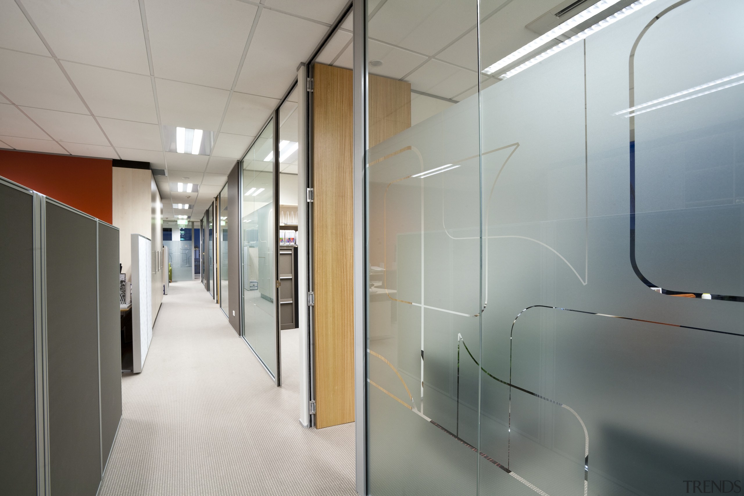 White Fox &amp; Jones, Christchurch - White Fox ceiling, floor, glass, interior design, office, wall, gray