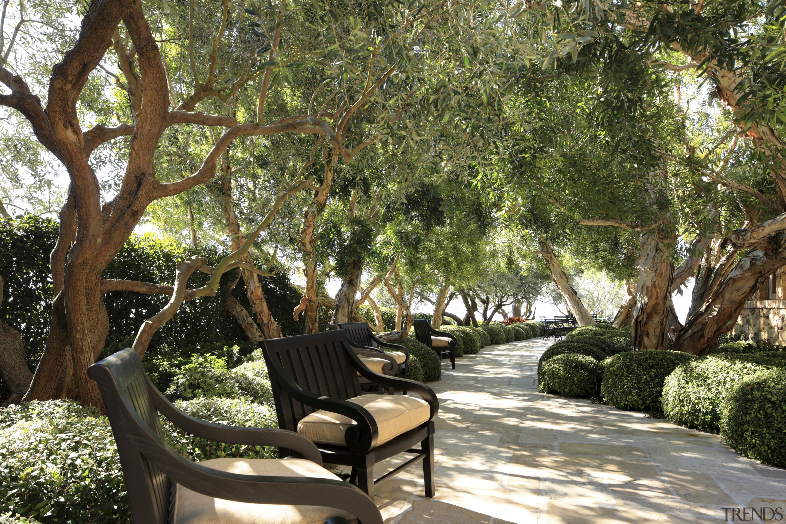 View of outdoor seating area with path and arecales, backyard, estate, garden, home, outdoor structure, plant, property, real estate, resort, tree, yard, brown