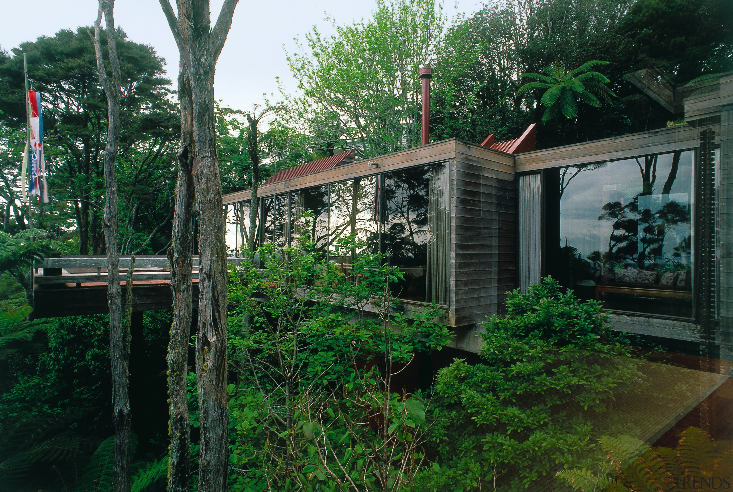 A view of this house designed by Ron architecture, green, house, plant, tree, black, green