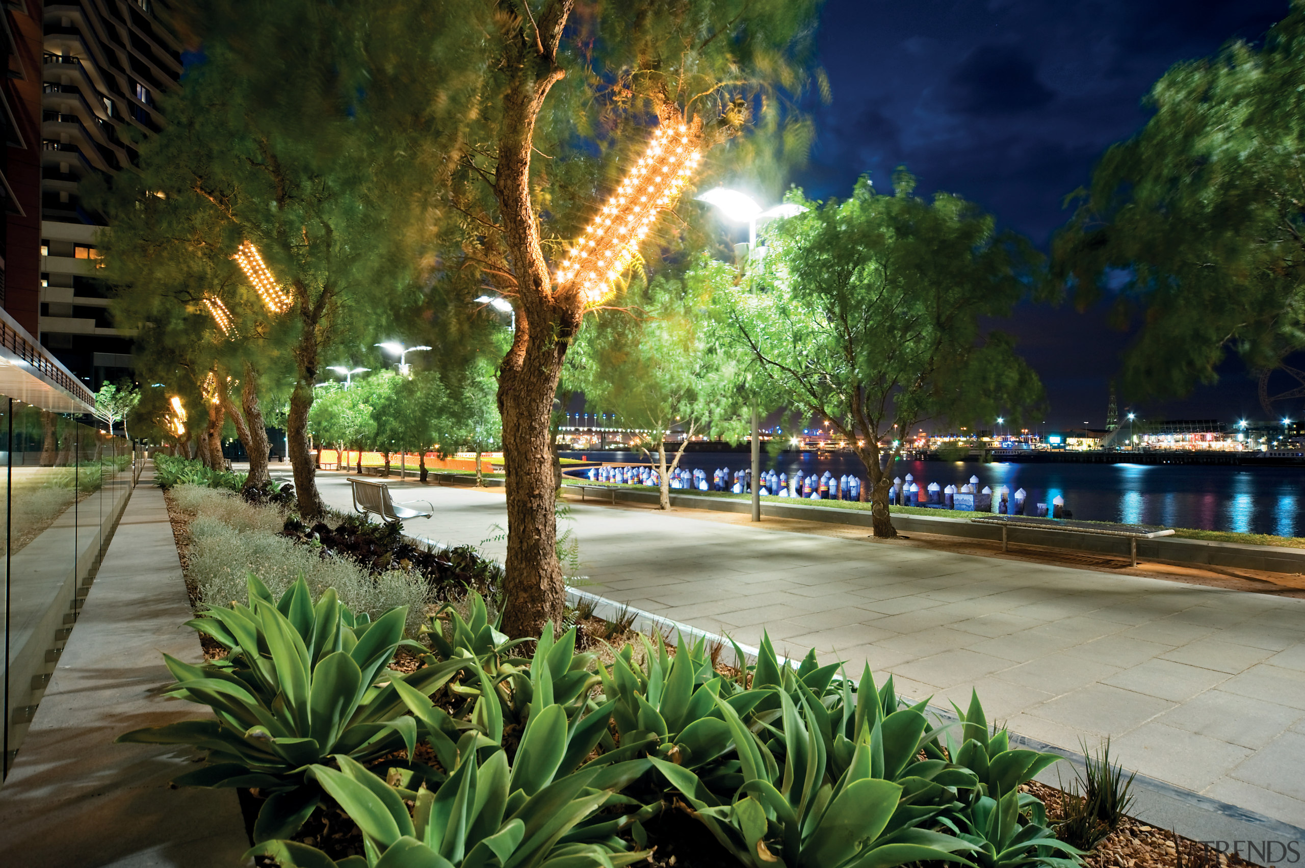 Victoria Harbour comprises the largest area in Docklands arecales, city, landscape, lighting, night, palm tree, plant, reflection, tree, walkway, water, brown, green