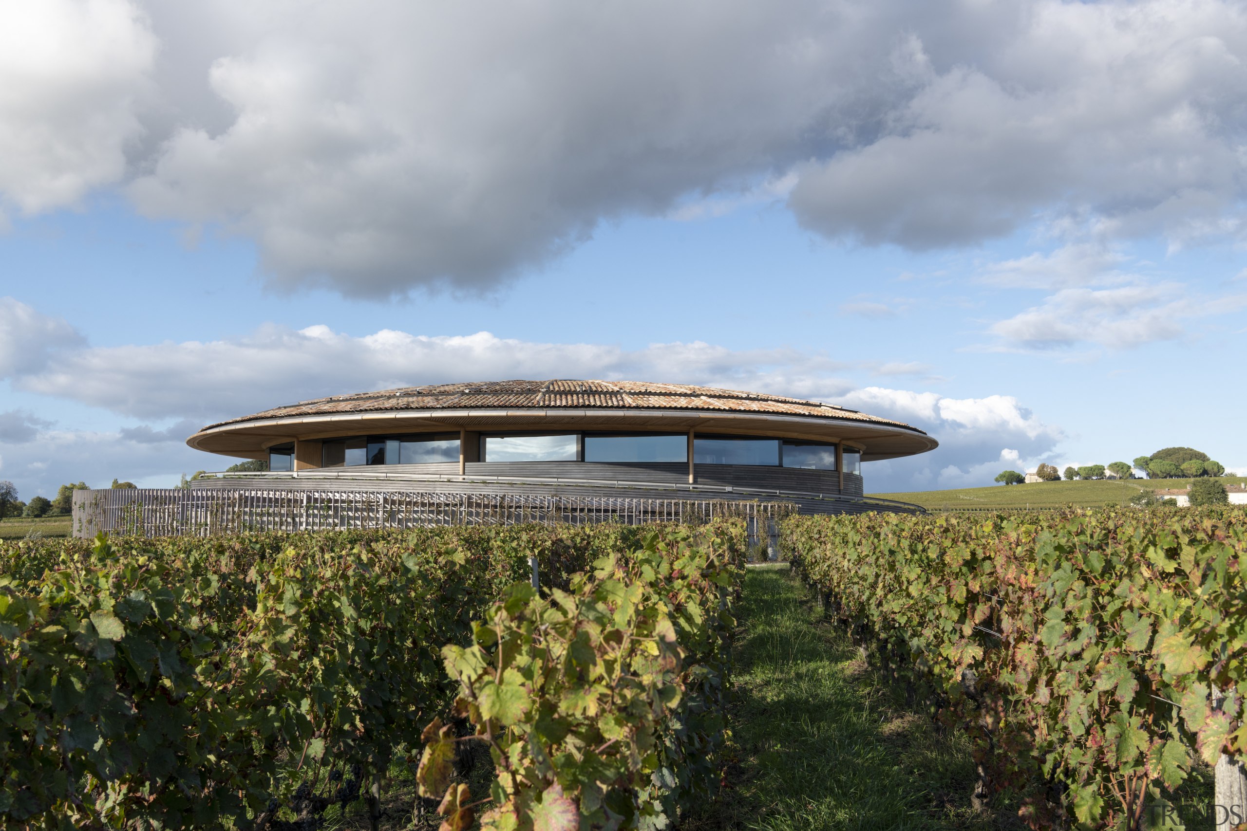 The building design reinforces the landscape by creating 