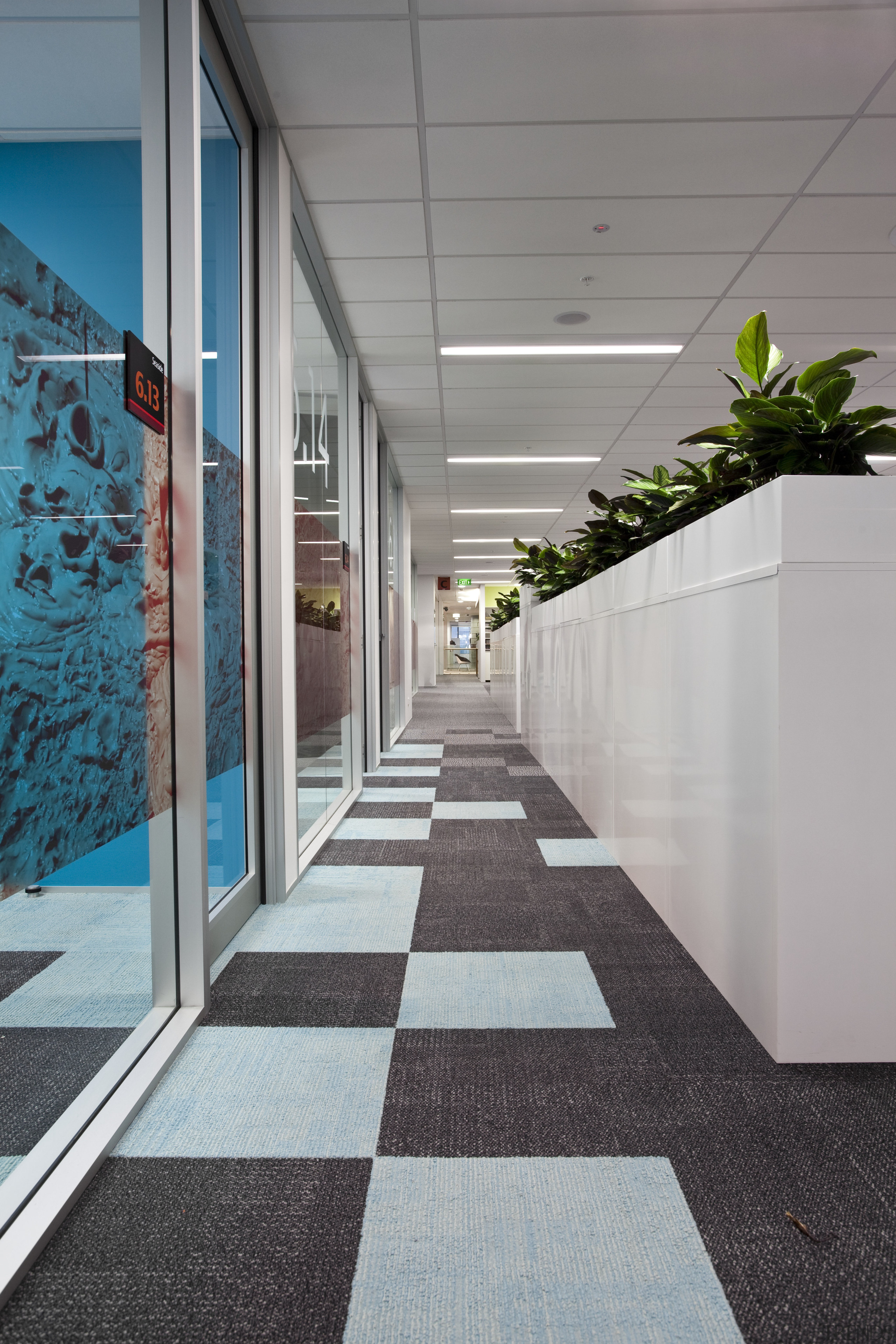 View of contemporary carpet tiles with checkerboard design. architecture, daylighting, floor, flooring, house, real estate, gray