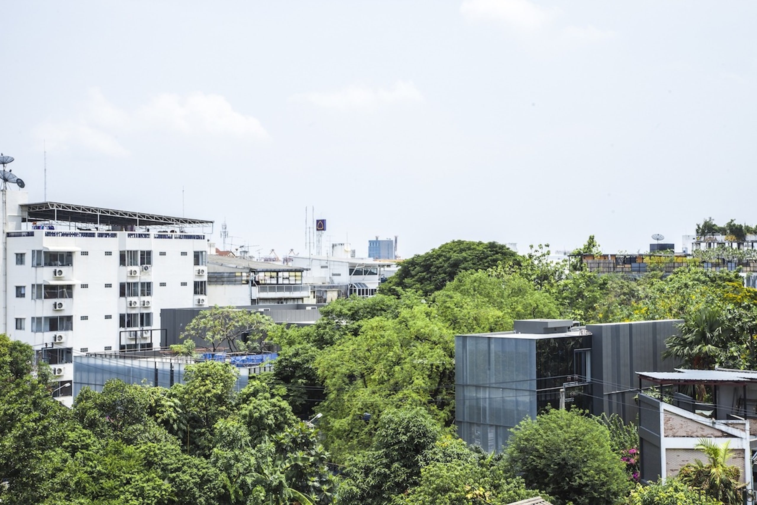 Naiipa 02 - building | city | condominium building, city, condominium, daytime, metropolitan area, neighbourhood, plant, real estate, residential area, roof, sky, skyline, suburb, tower block, tree, urban area, white