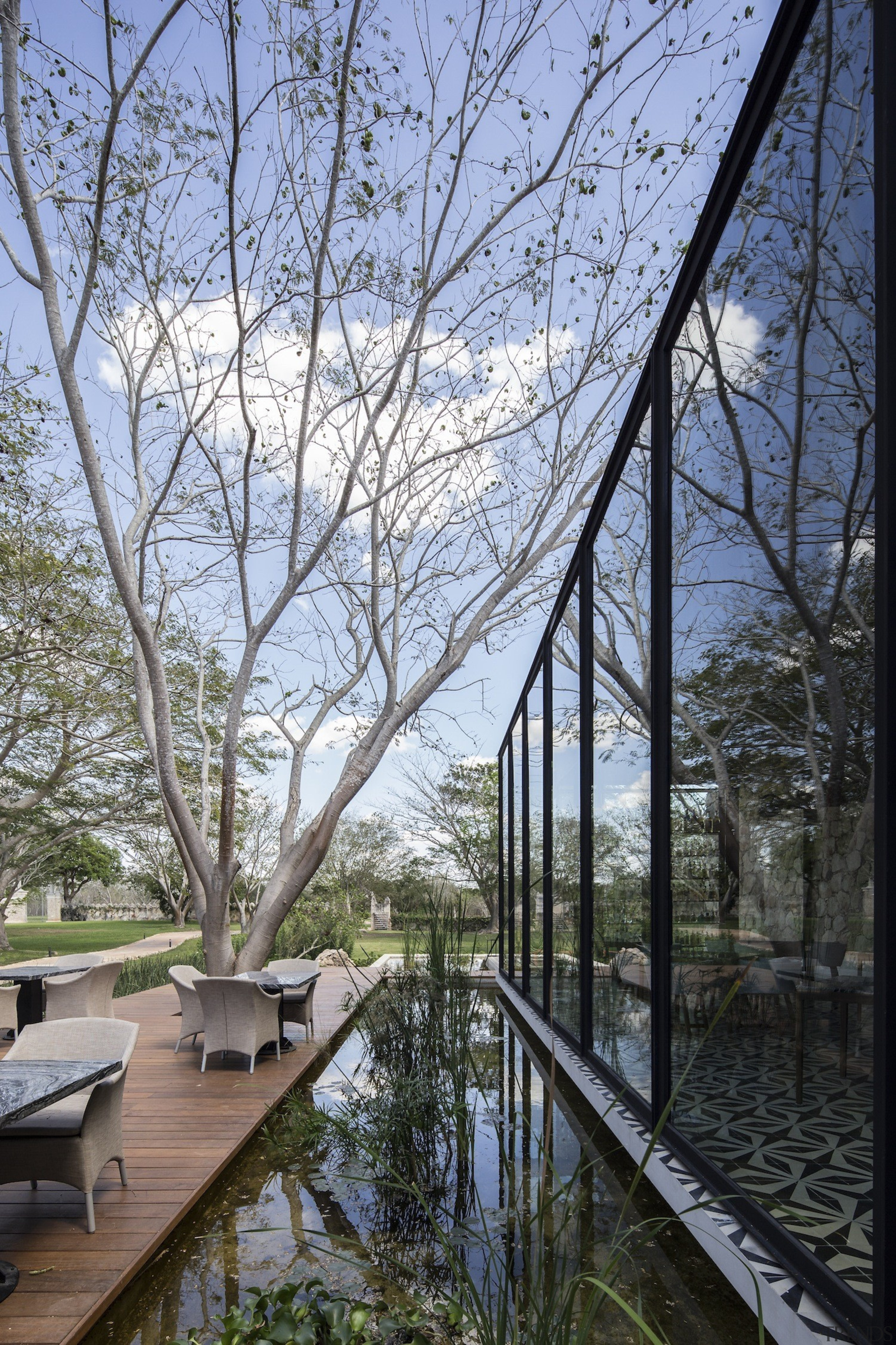  Architect: Central de Proyectos SCP architecture, branch, home, house, plant, real estate, reflection, tree, walkway, water, waterway, teal, black