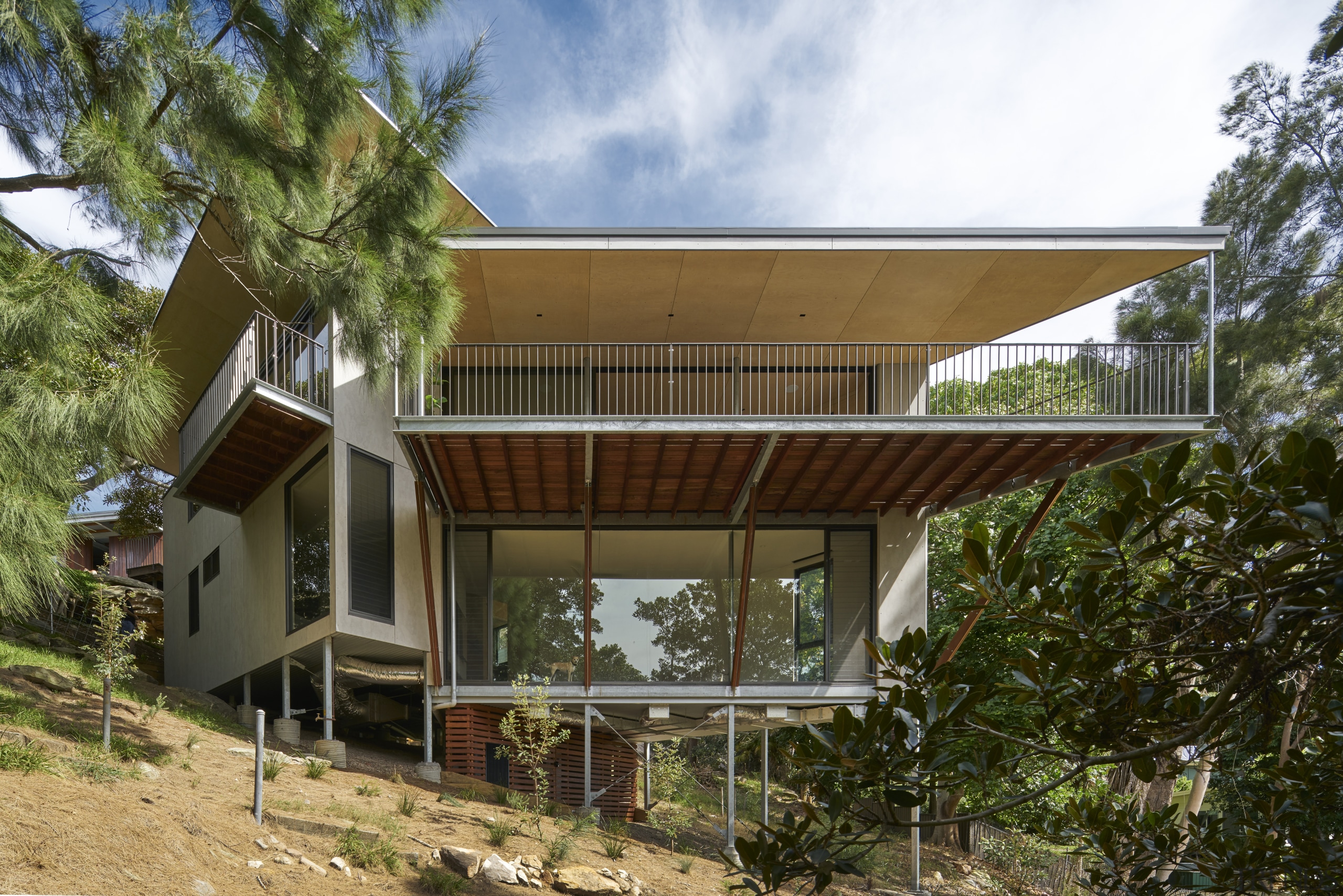 Conceived as a treehouse with platforms taking shelter 