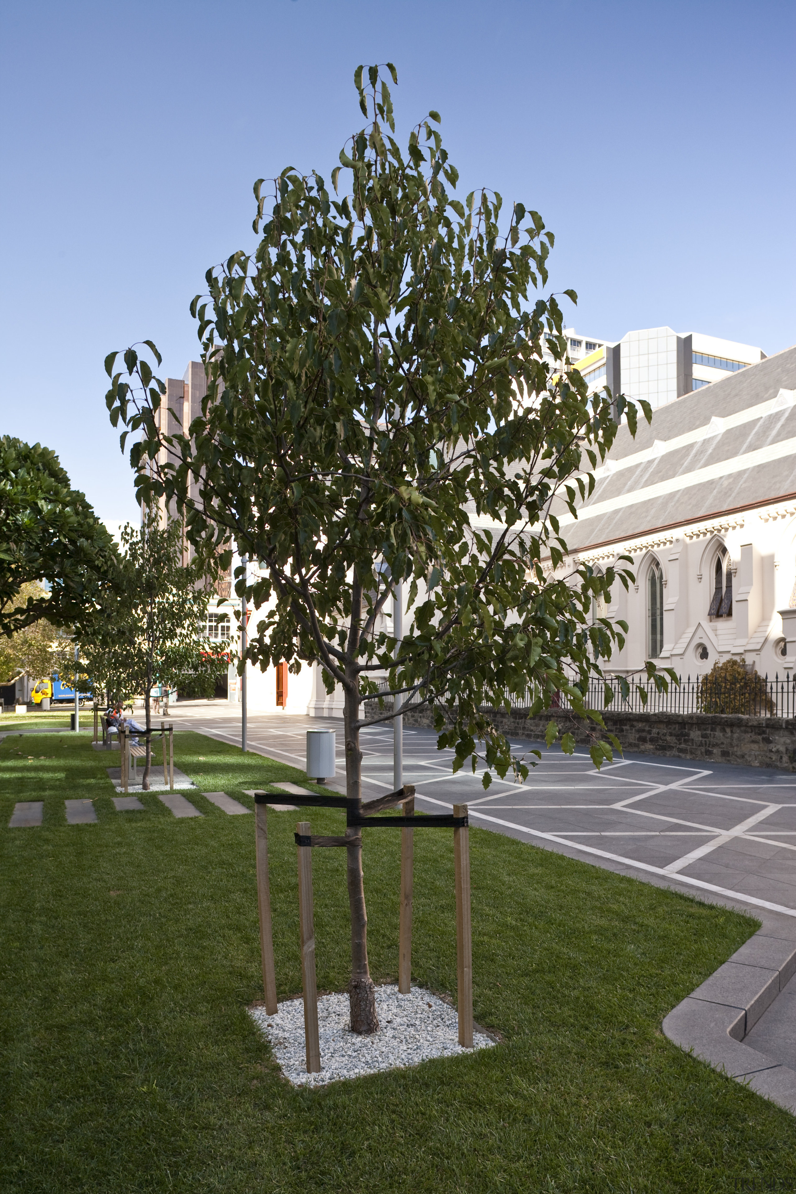 Exterior view of St Patrick's Square which features architecture, campus, daytime, grass, home, house, lawn, leaf, neighbourhood, park, plant, residential area, sky, tree, woody plant, brown, teal