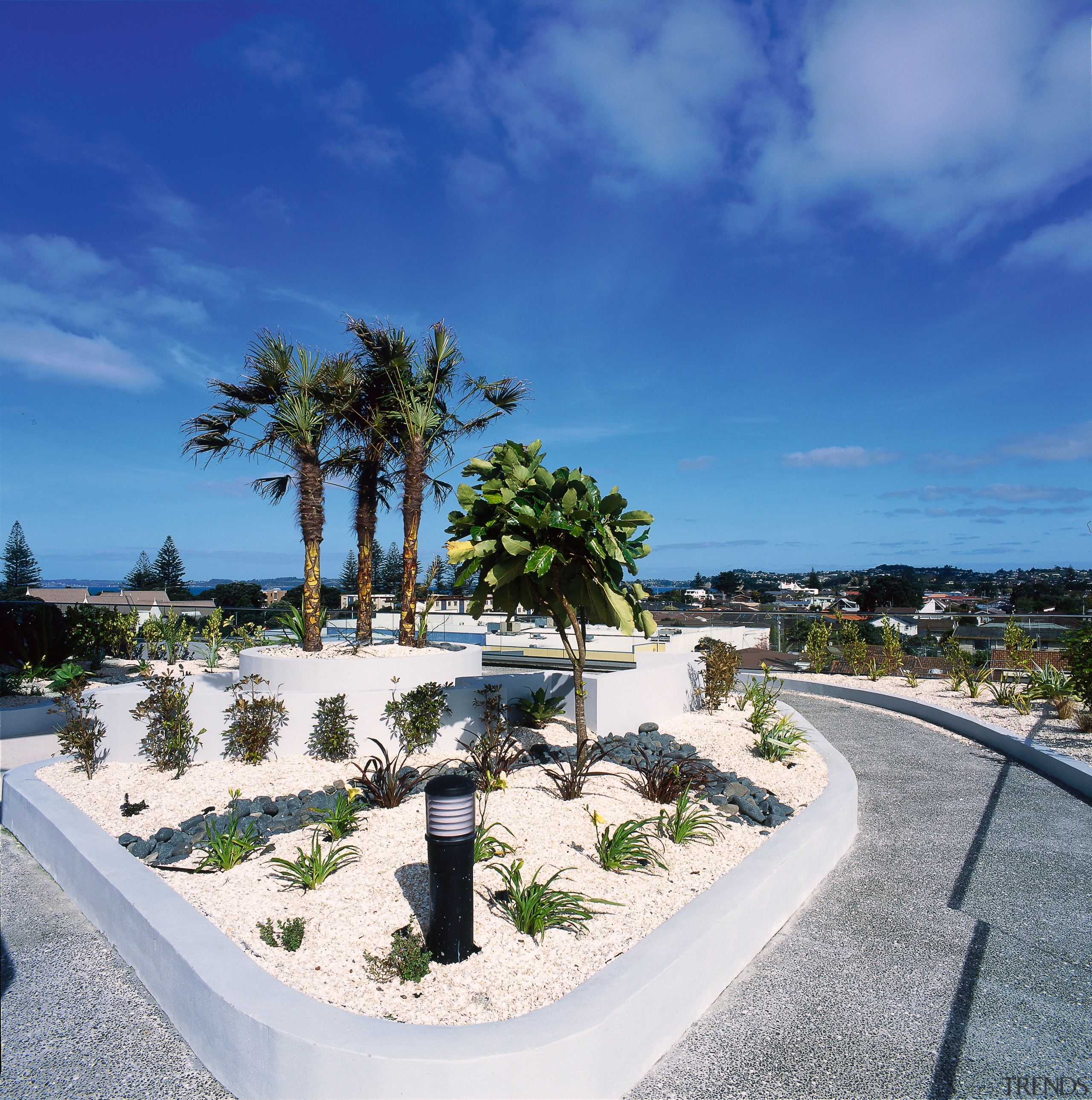 Semi tropical landscaping and pathways outside apartment building. arecales, estate, palm tree, plant, real estate, resort, sky, tree, tropics, vacation, water, blue, white