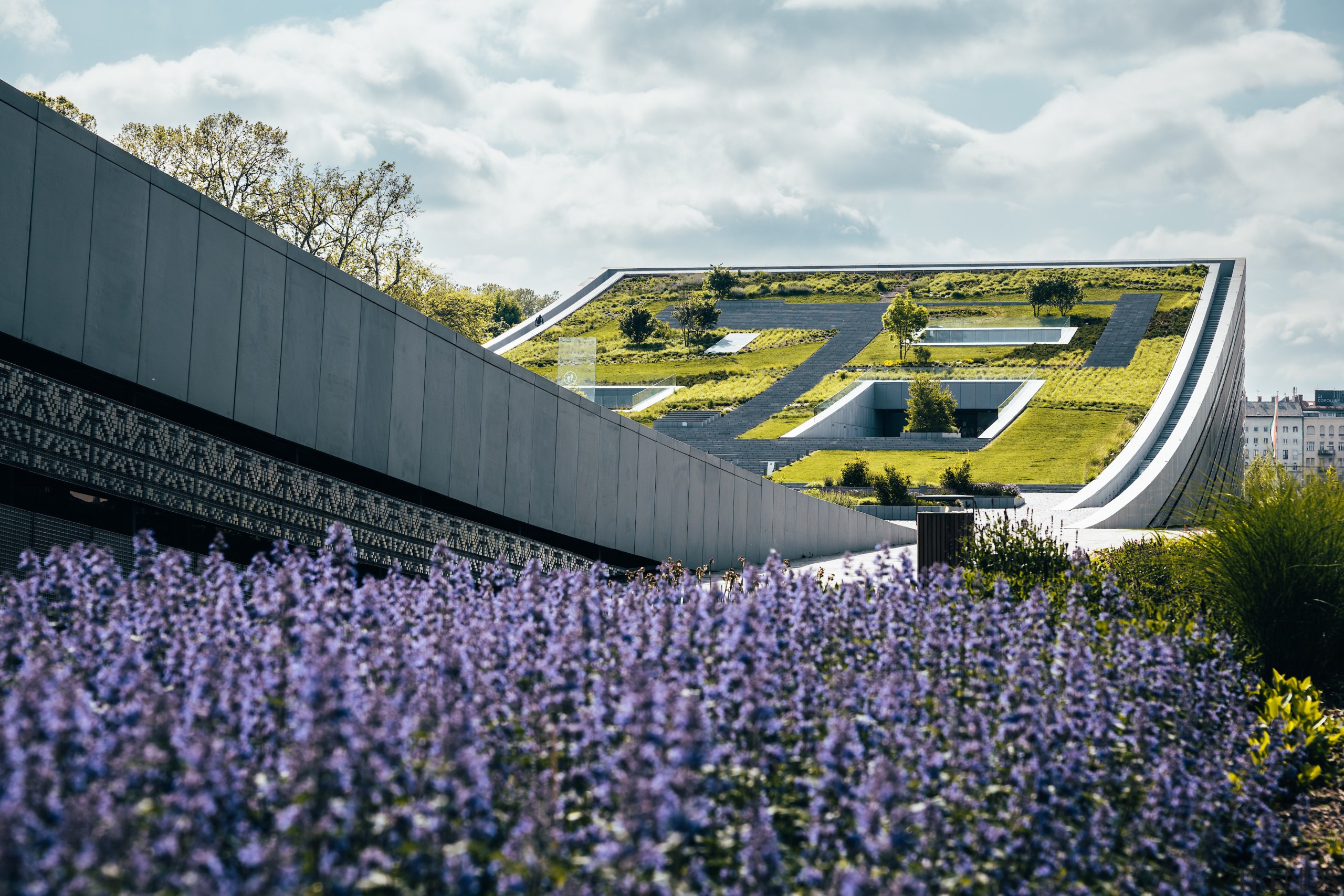 The museum's grass roof reads more like a 