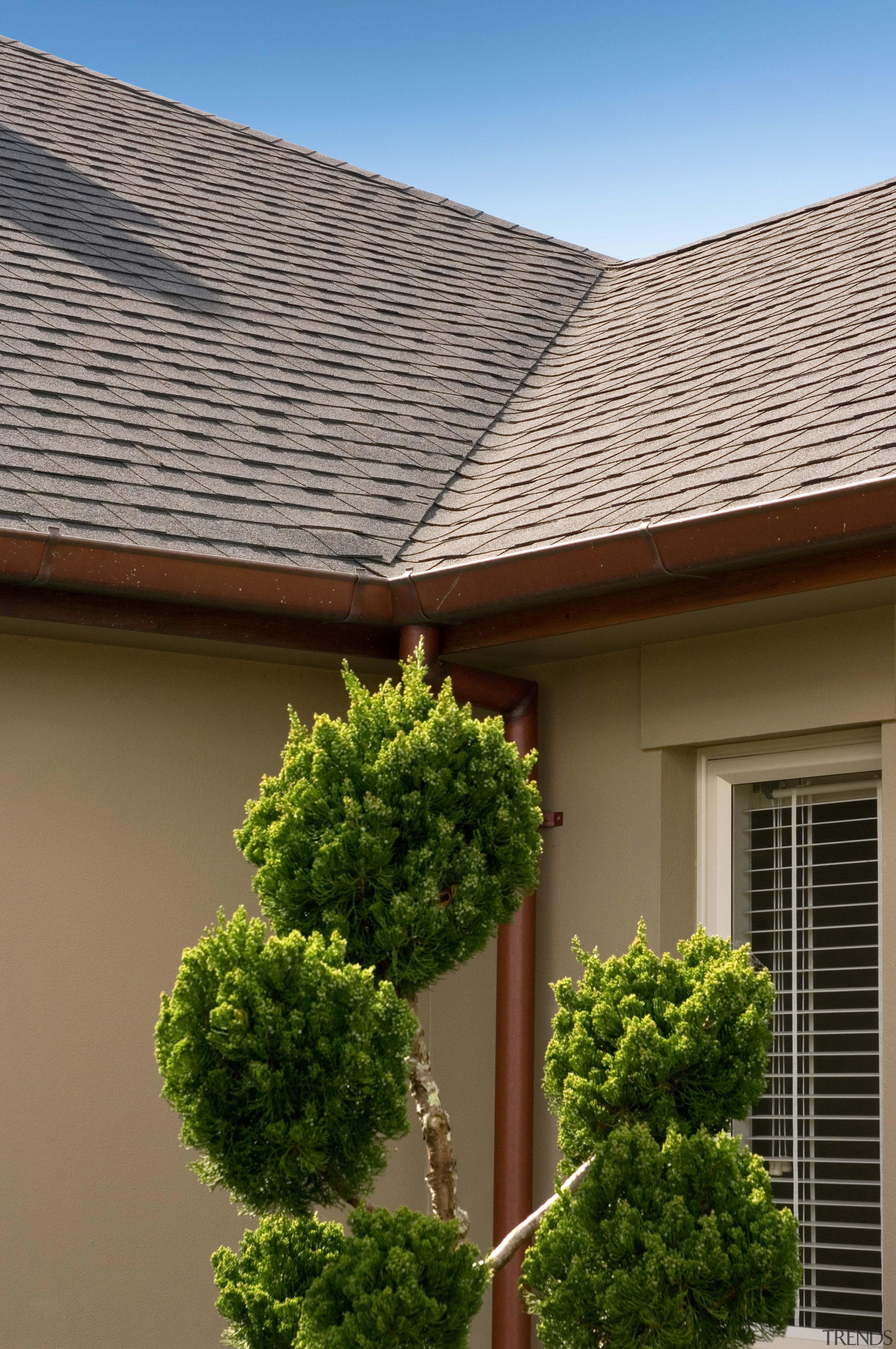 d2x4030 - daylighting | facade | home | daylighting, facade, home, house, outdoor structure, plant, property, real estate, residential area, roof, siding, sky, tree, window, wood, brown