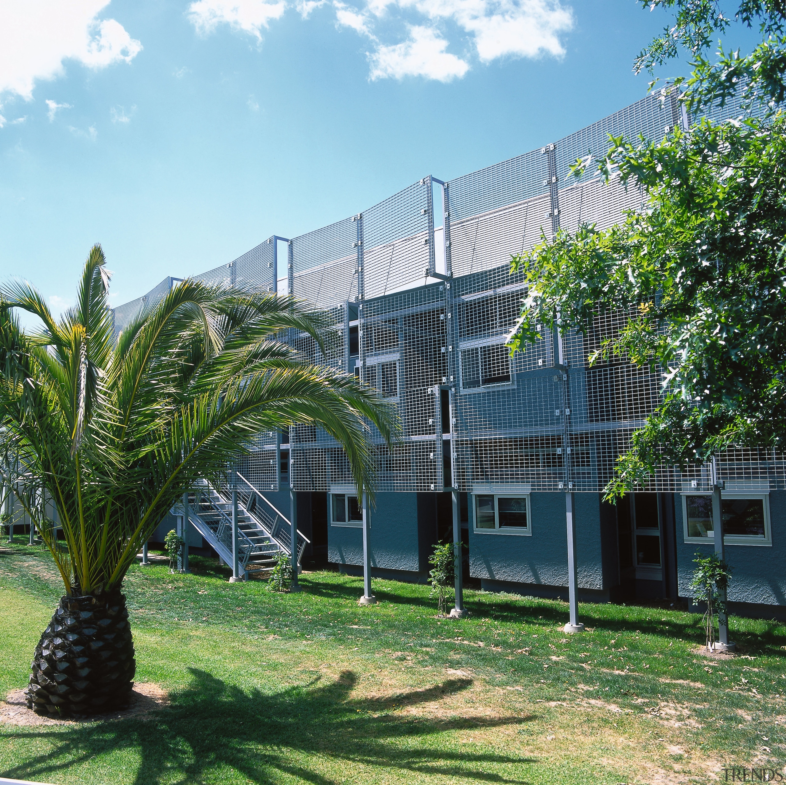 An exterior view of the library, trees. - architecture, arecales, building, condominium, estate, home, house, neighbourhood, palm tree, plant, property, real estate, tree, green