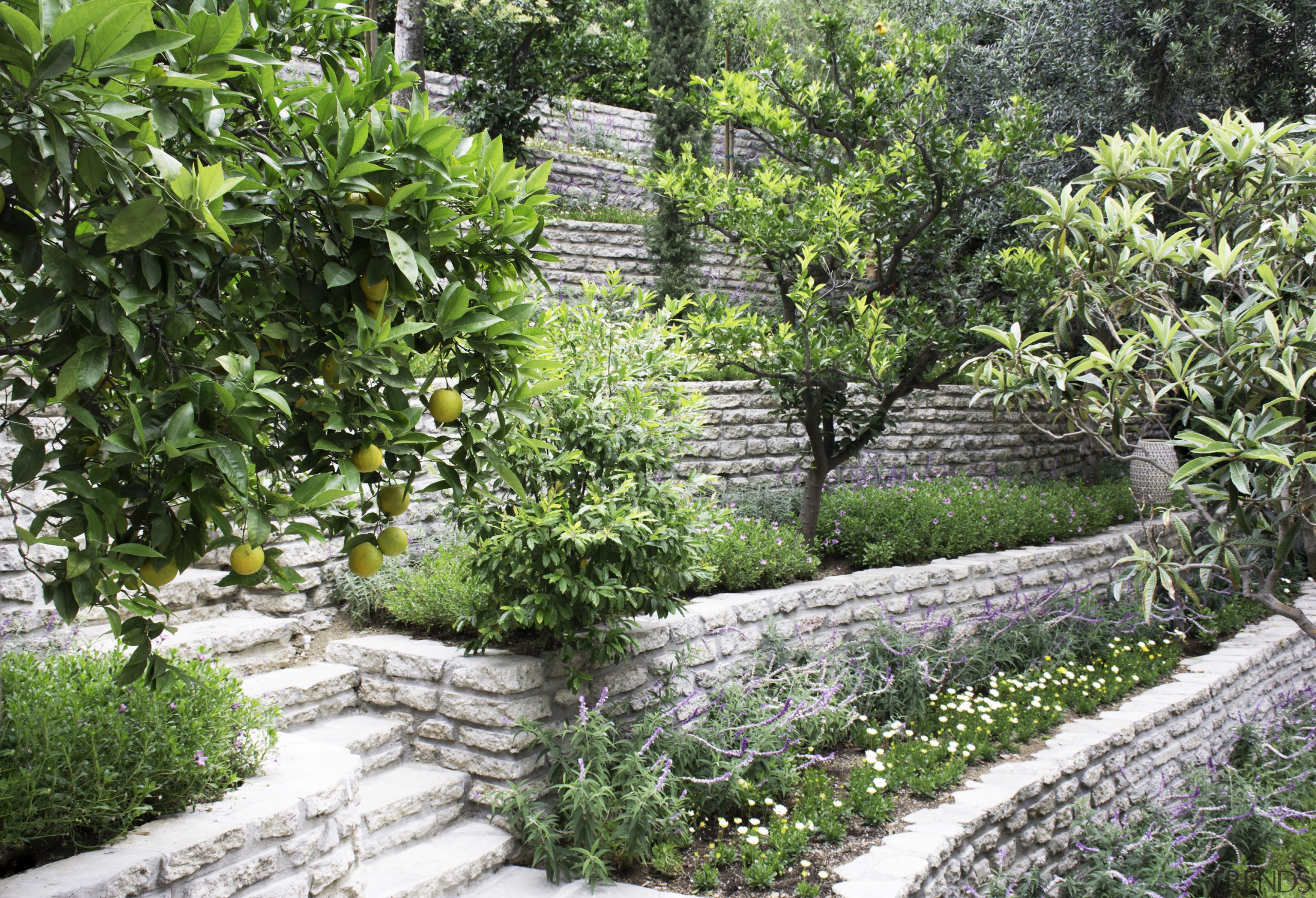 The terraced grounds incorporate a variety of eye-catching 