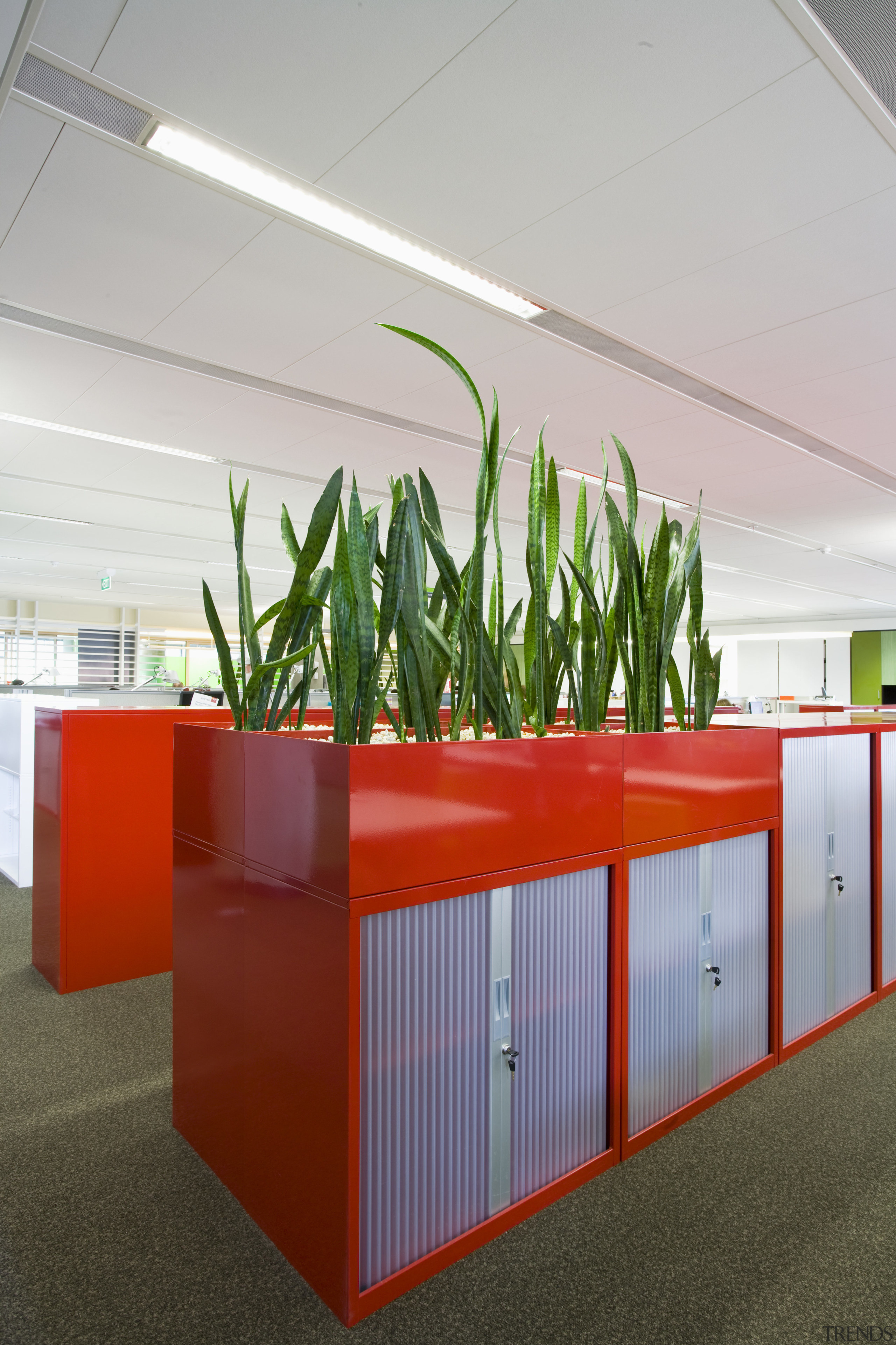 Images of the interior of the Bendigo Bank. furniture, product design, gray