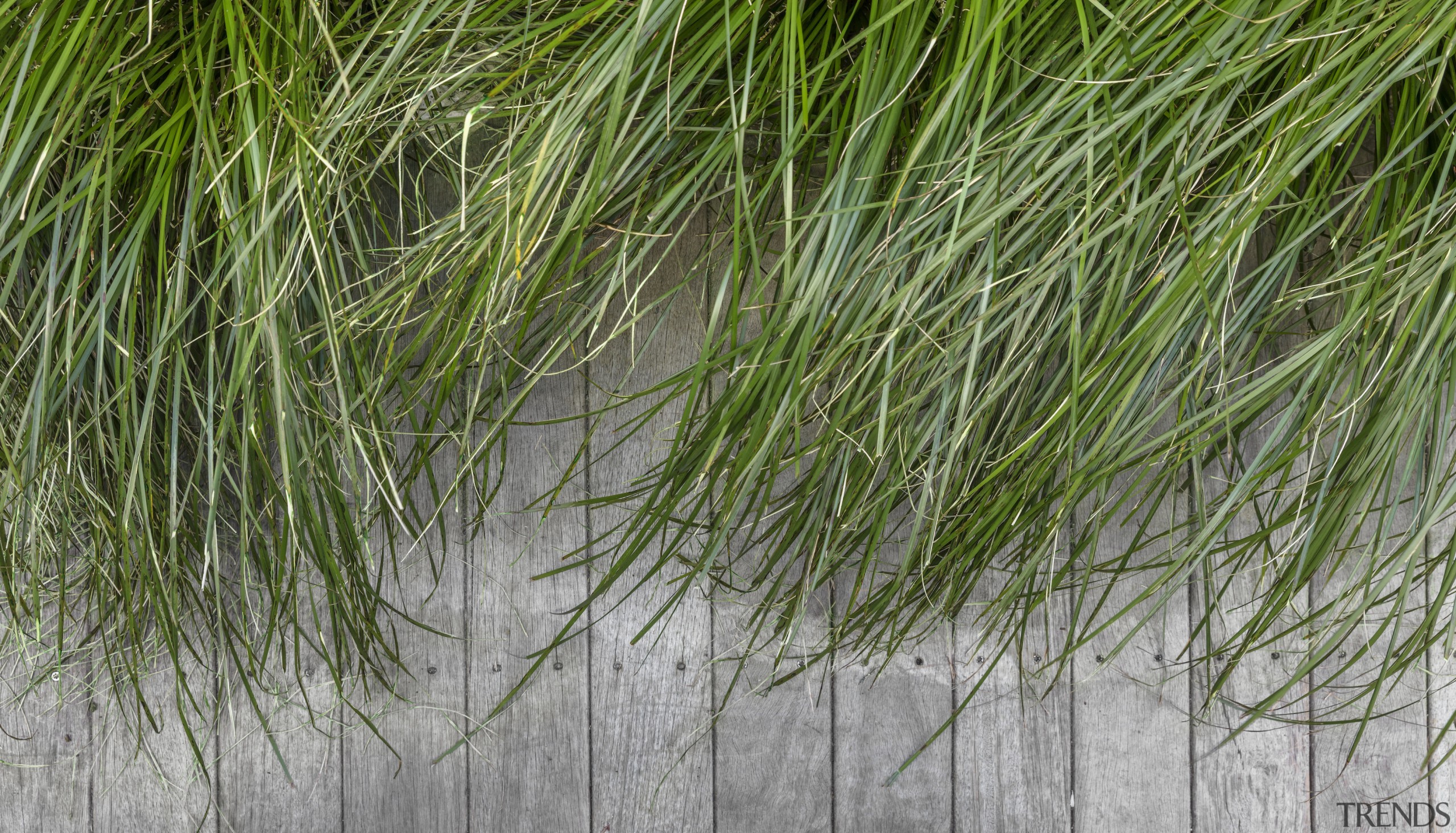 Natural tones dovetail with the strategic plantings. 