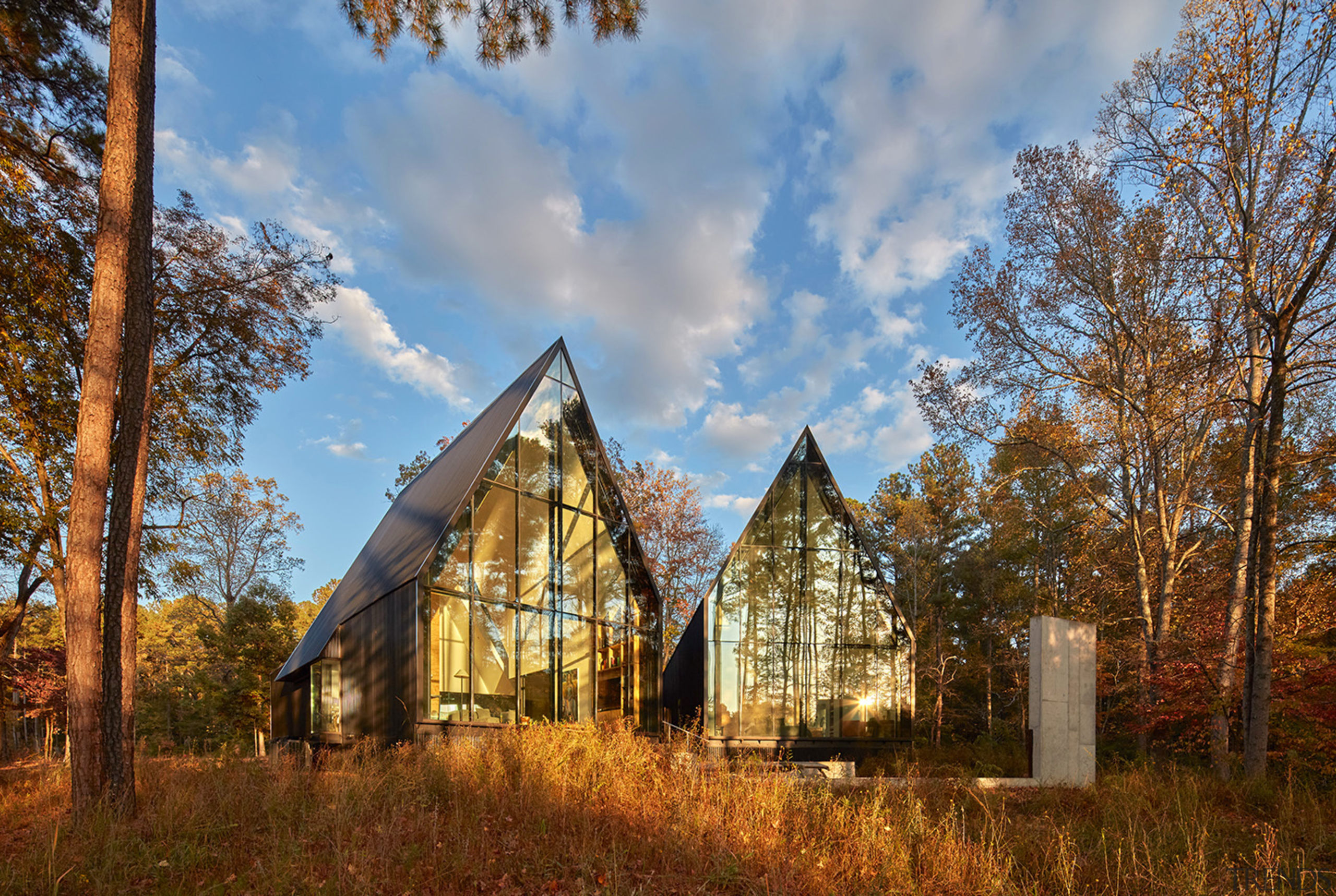 The home's reflections help it merge into the 