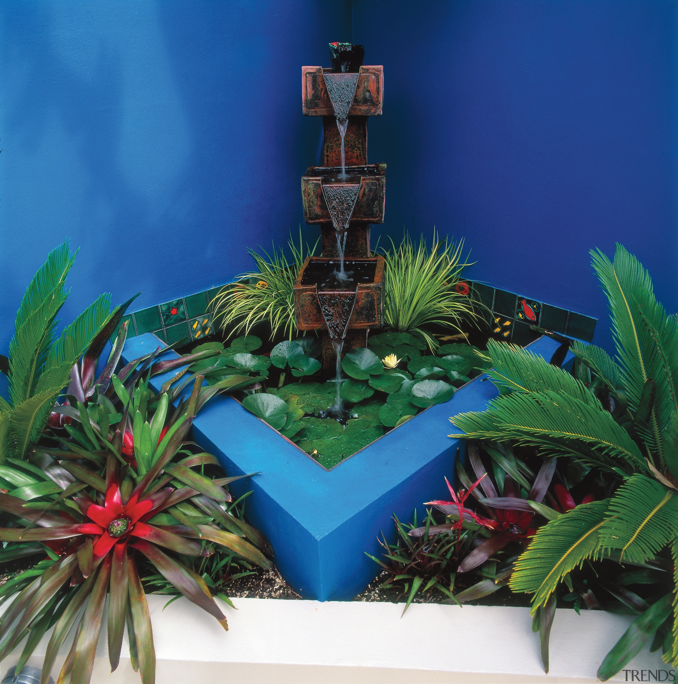 An exterior view of the patio and garden arecales, majorelle blue, palm tree, plant, tree, blue