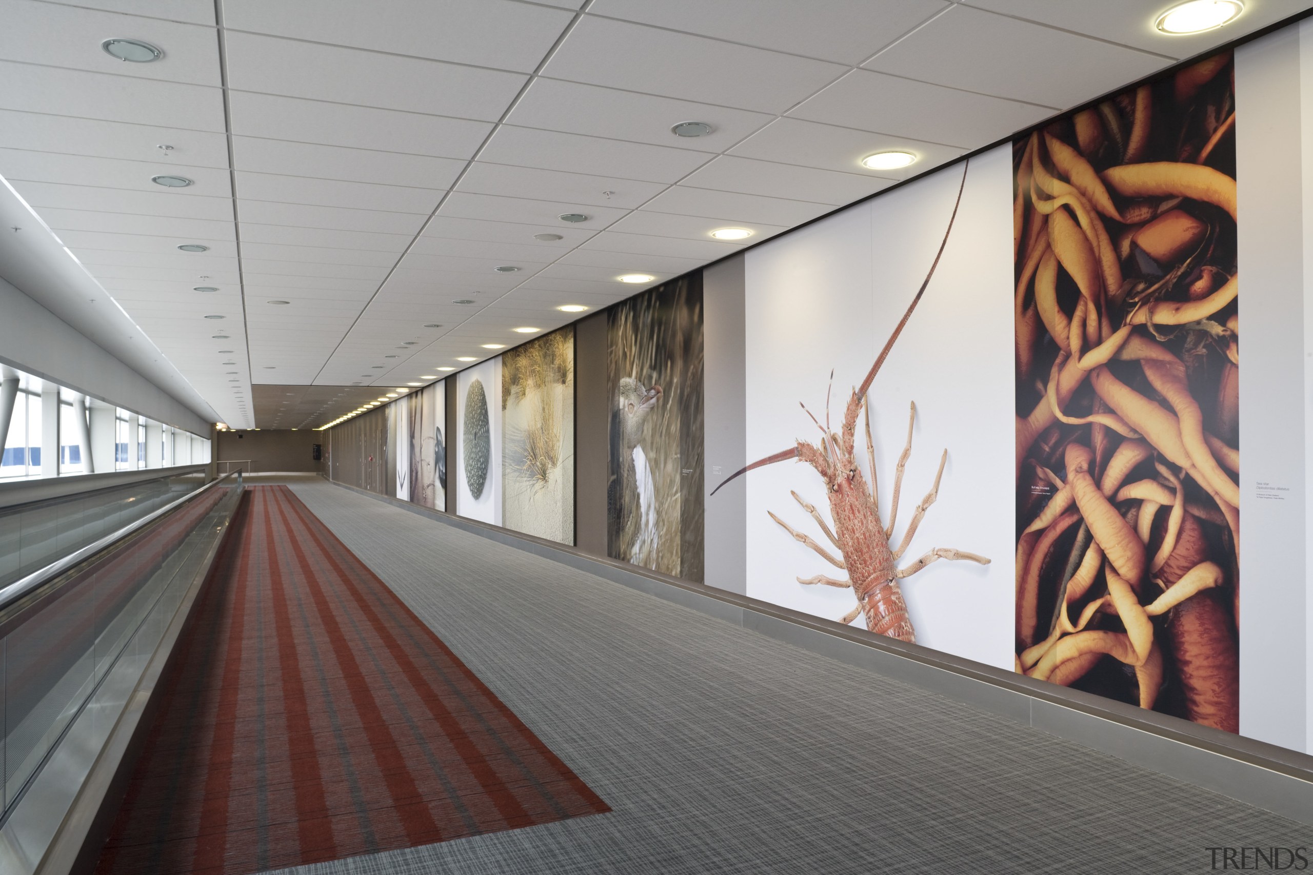 Images of the international terminal at Auckland Airport. architecture, floor, flooring, glass, wall, gray