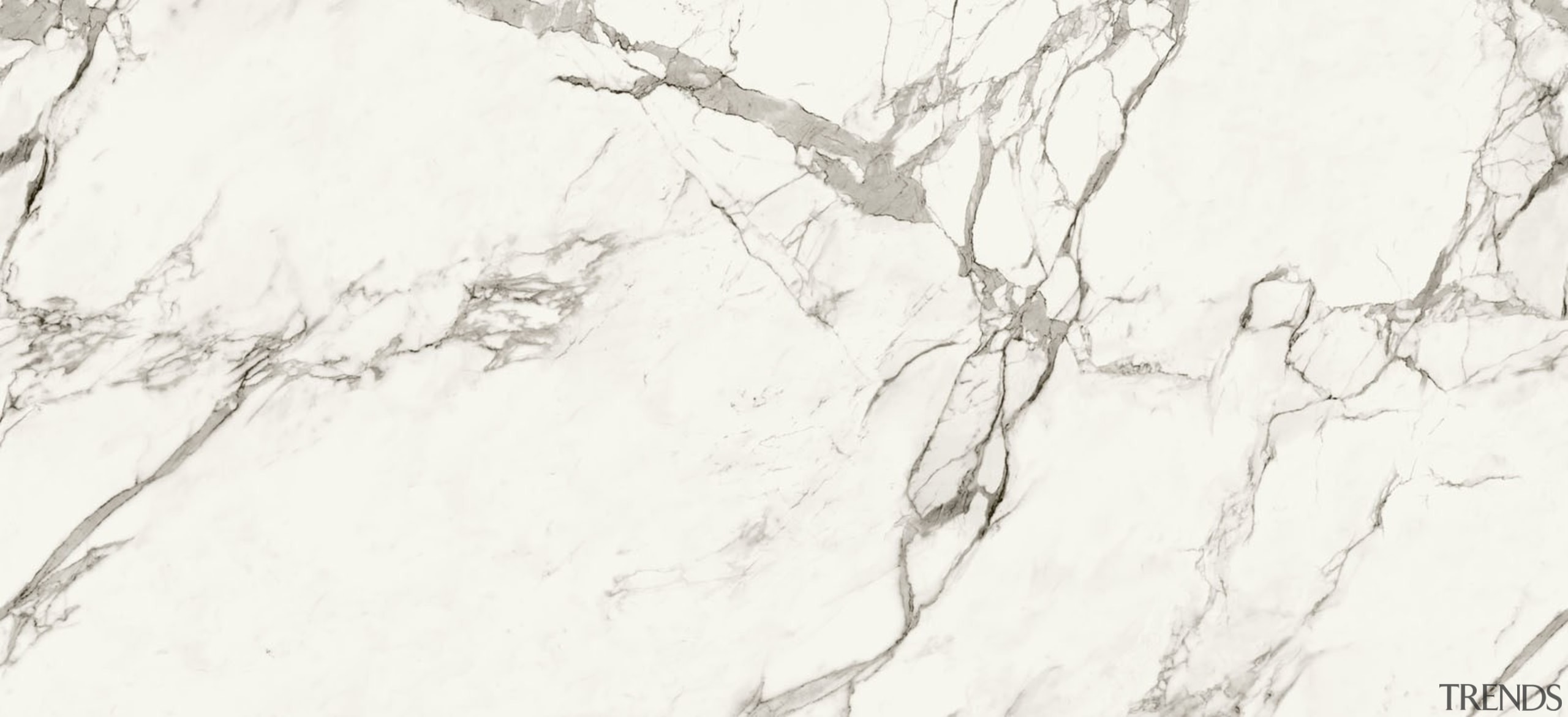 AURA Tabla - AURA Tabla - black and black and white, branch, drawing, monochrome, monochrome photography, sketch, texture, tree, white