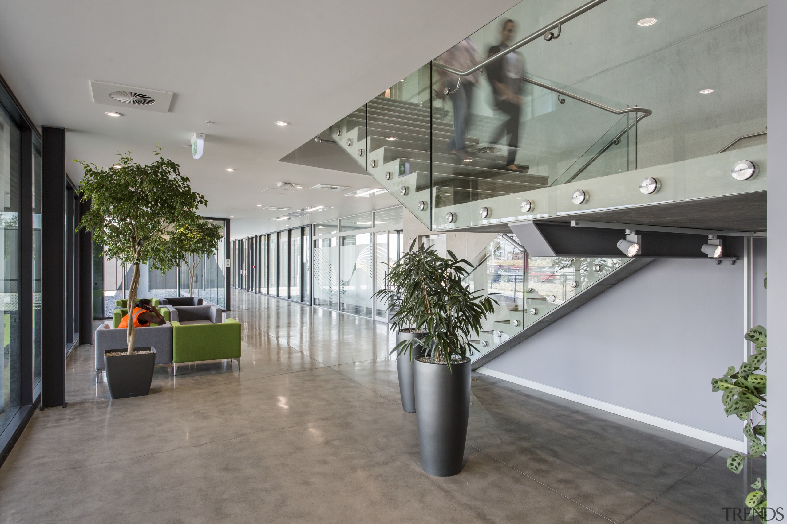 At the Synlait project undertaken by Calder Stewart architecture, ceiling, daylighting, glass, interior design, lobby, real estate, gray