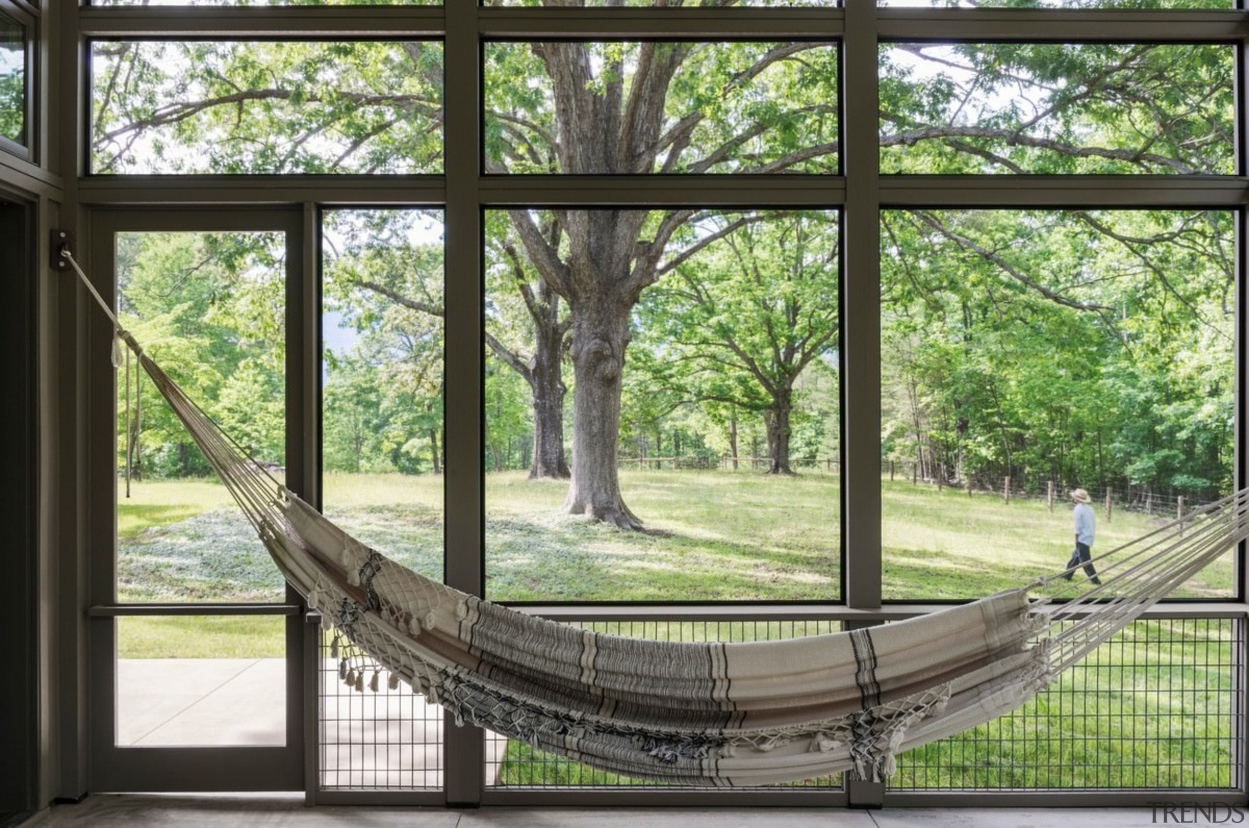 An indoor hammock means you can enjoy the tree, window, green, black