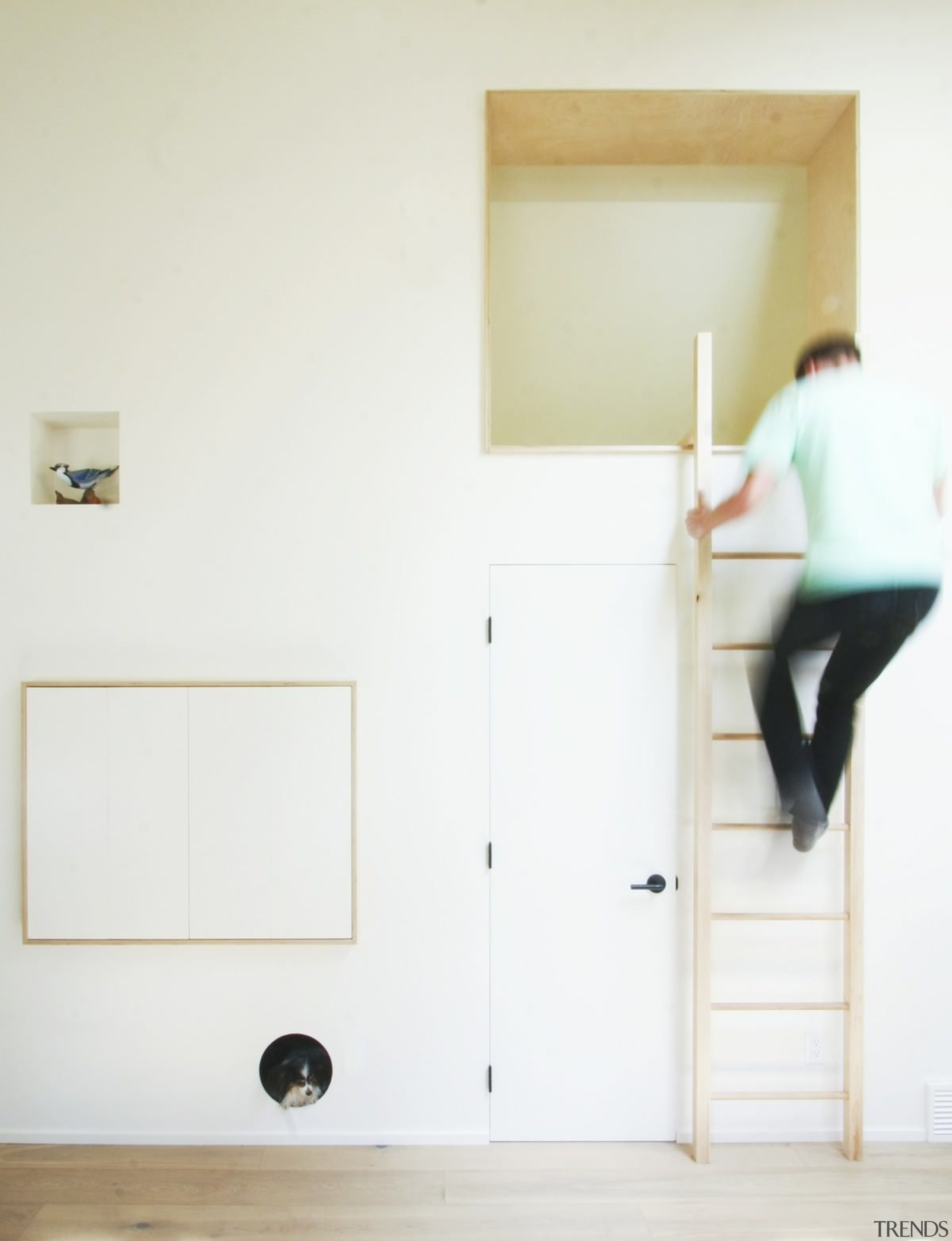 Small spaces for humans and canine friends alike clothes hanger, door, floor, house, room, shelf, wall, wood, white