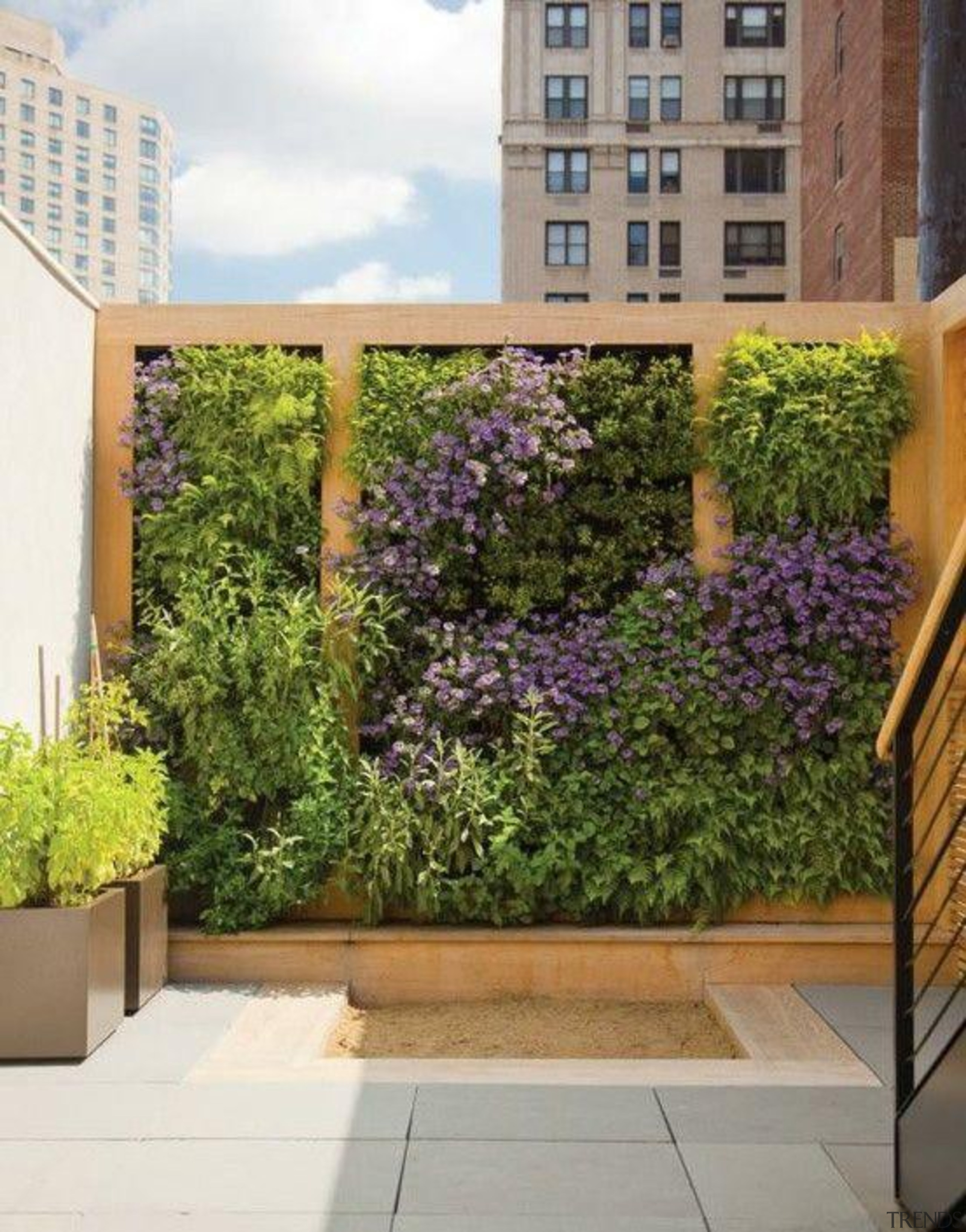 Living Wall - Vertical Garden - courtyard | courtyard, garden, home, landscaping, plant, property, real estate, residential area, wall, window, brown, white