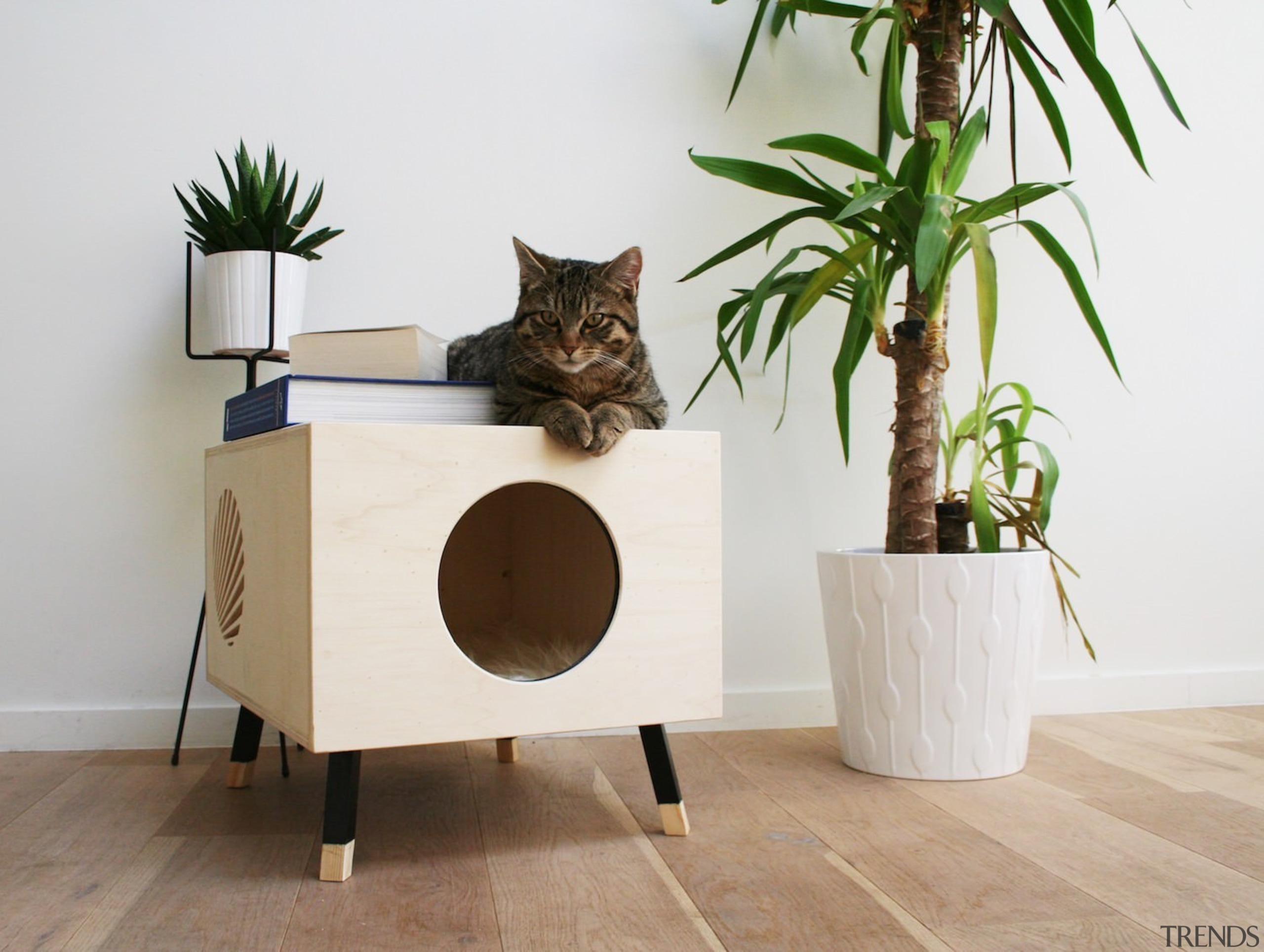 Designed by Krab - The box fits into cat, floor, flowerpot, furniture, interior design, product design, shelf, small to medium sized cats, table, wood, white