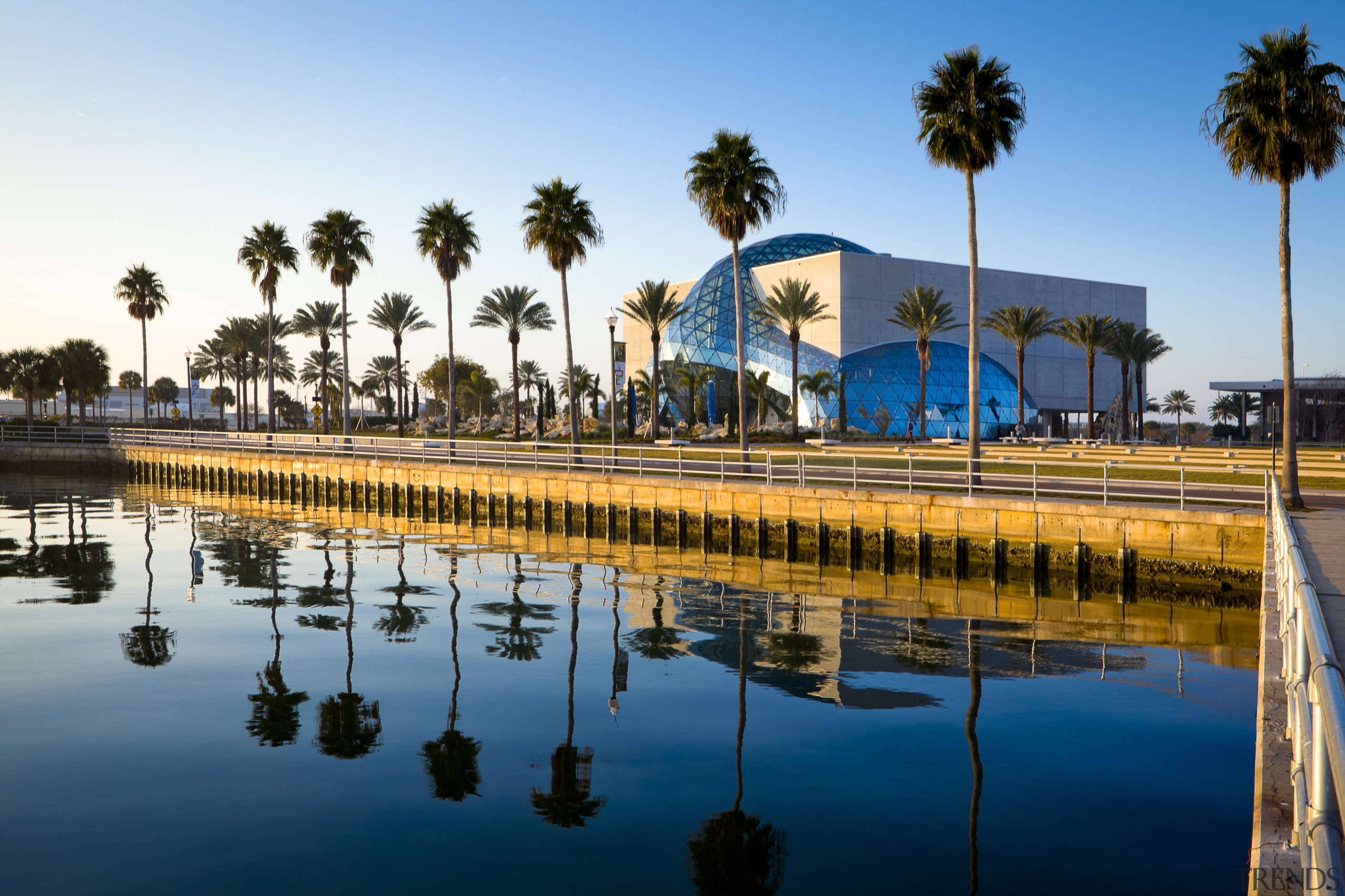 View of new art museum designed to house arecales, evening, leisure, palm tree, reflecting pool, reflection, resort, sea, sky, tourism, tourist attraction, tree, water