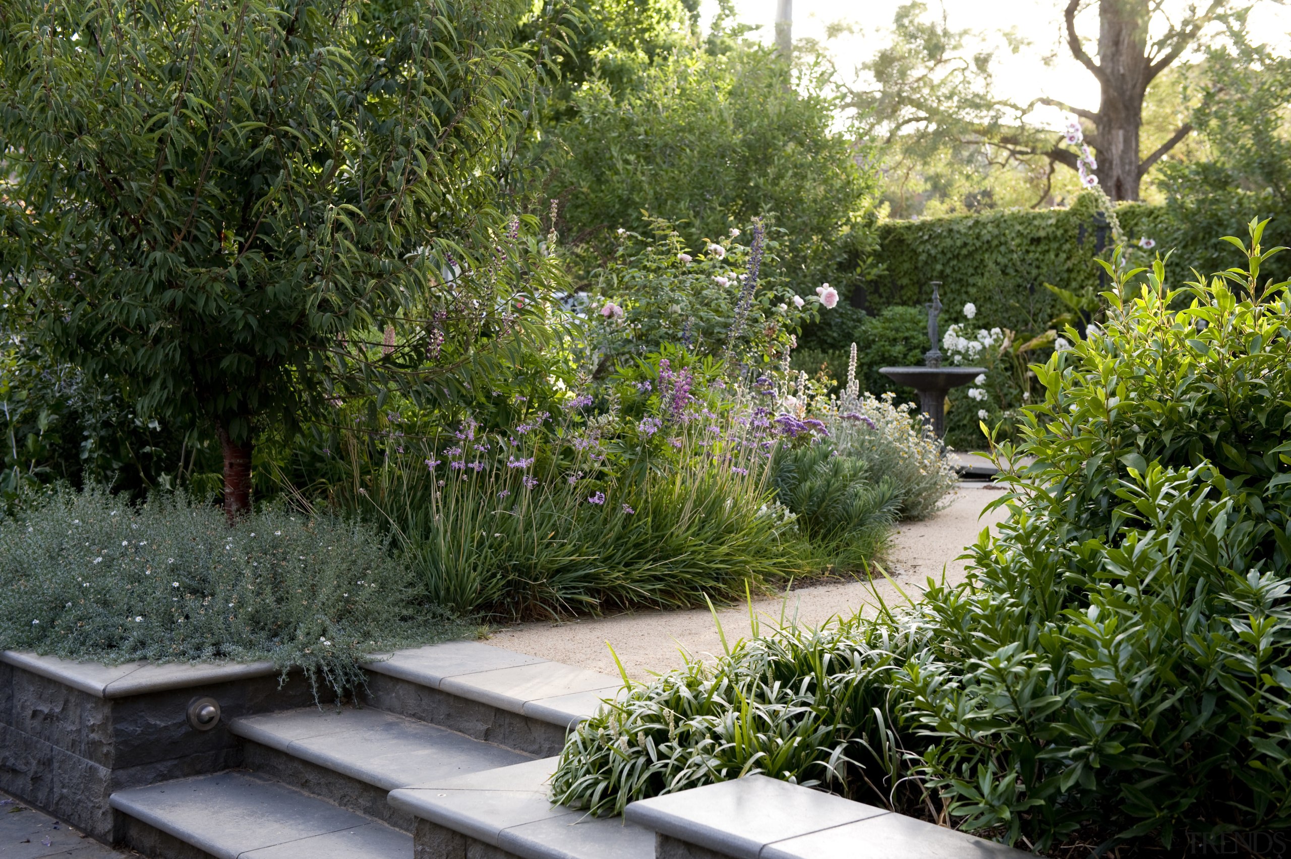 View of the slate steps leading into outdoor backyard, botanical garden, flower, garden, grass, grass family, landscape, landscaping, plant, shrub, tree, vegetation, walkway, yard, green