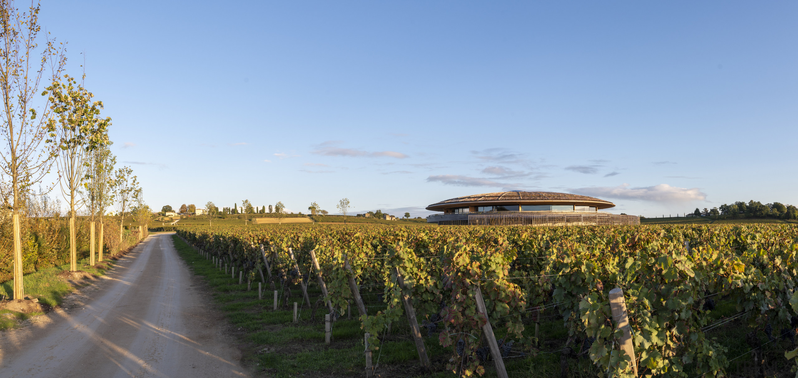 Visitors approach the winery along a tree-lined avenue, 