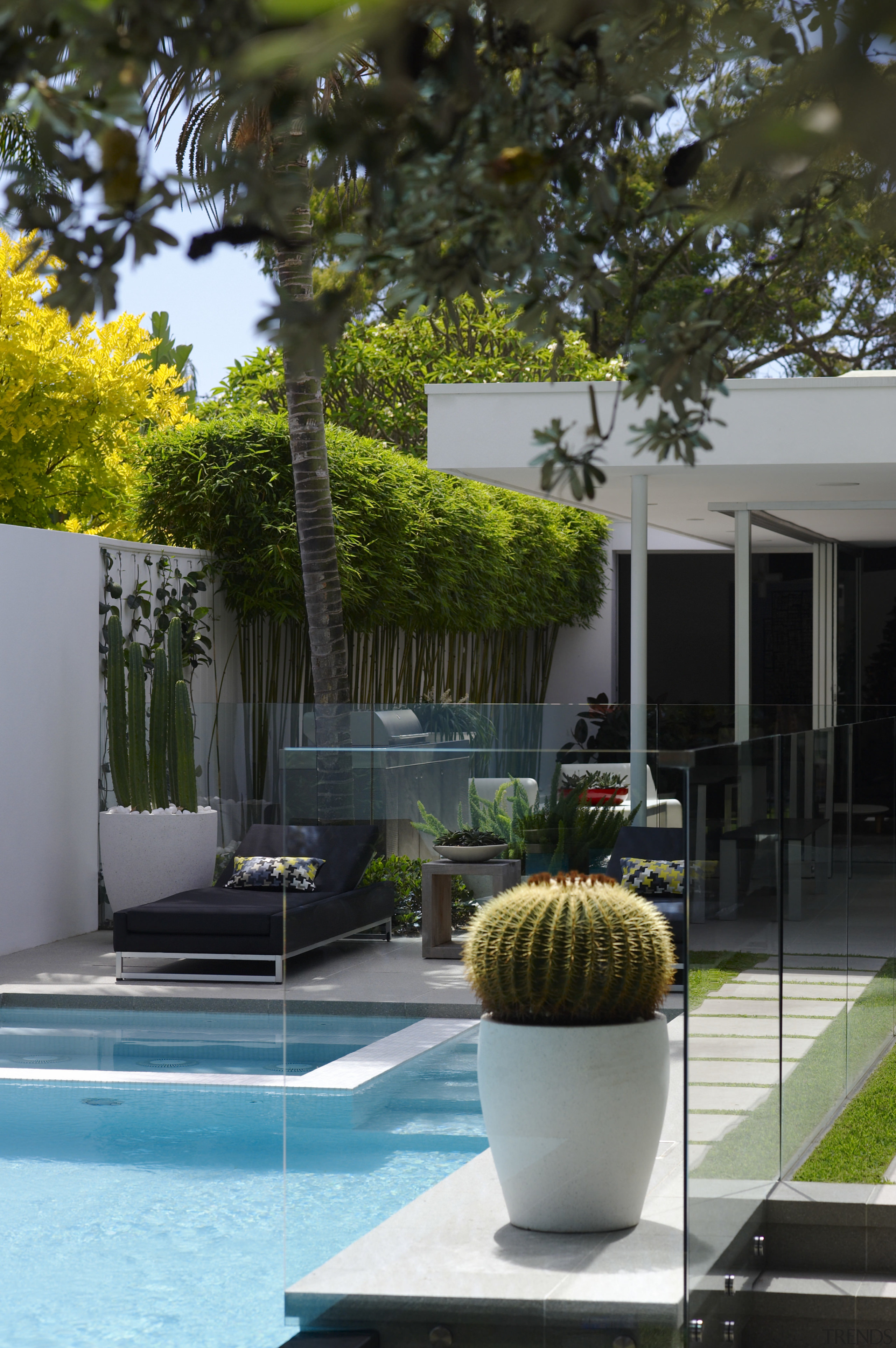 Sun lounges create a relaxing patio area within architecture, arecales, backyard, courtyard, home, house, landscaping, outdoor structure, palm tree, plant, property, real estate, residential area, swimming pool, tree, brown