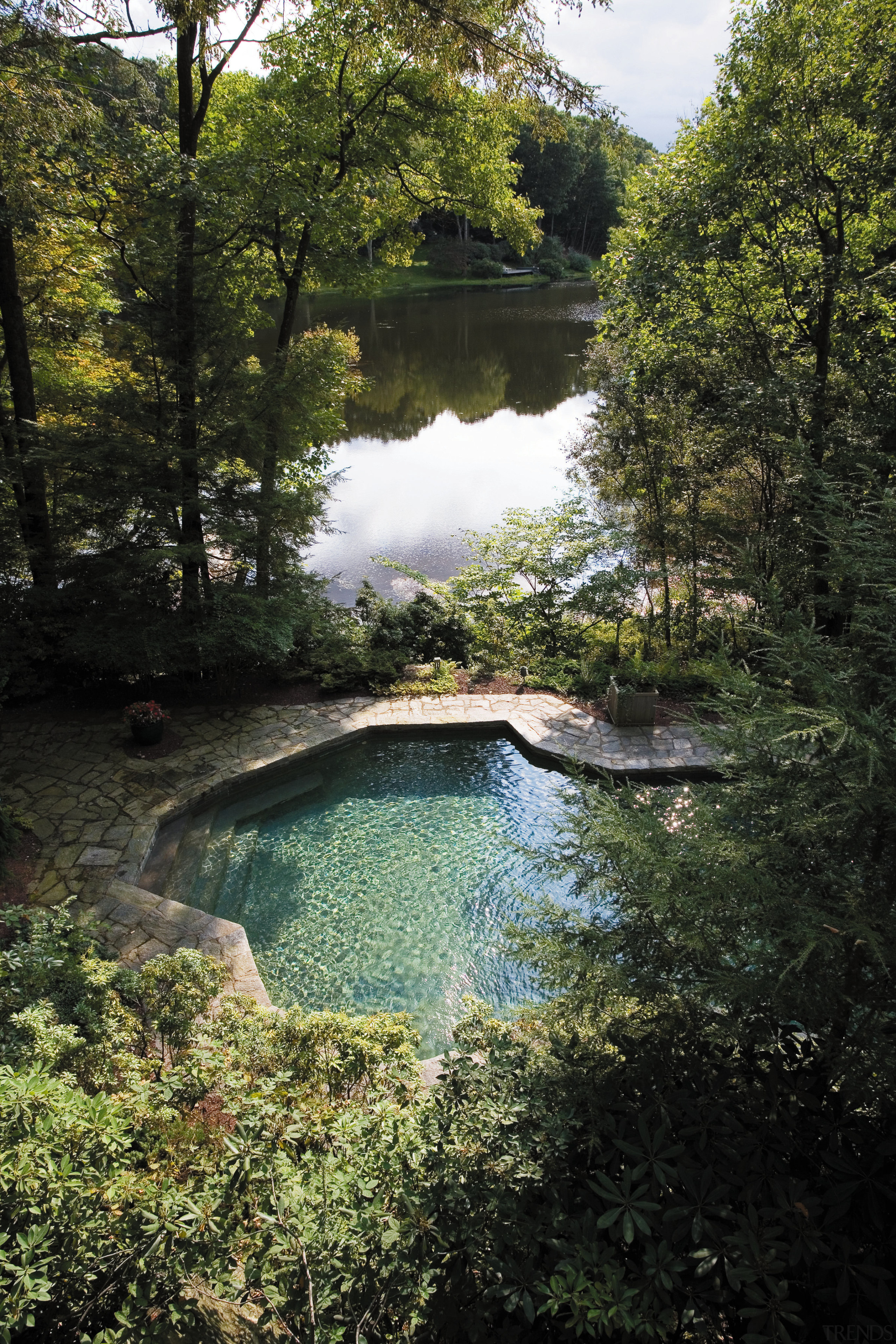 view o f the angled pool looking out bank, biome, body of water, creek, forest, green, jungle, lake, landscape, leaf, national park, nature, nature reserve, plant, pond, rainforest, reflection, reservoir, river, sky, stream, tree, vegetation, water, water feature, water resources, watercourse, wilderness, woodland, brown, black