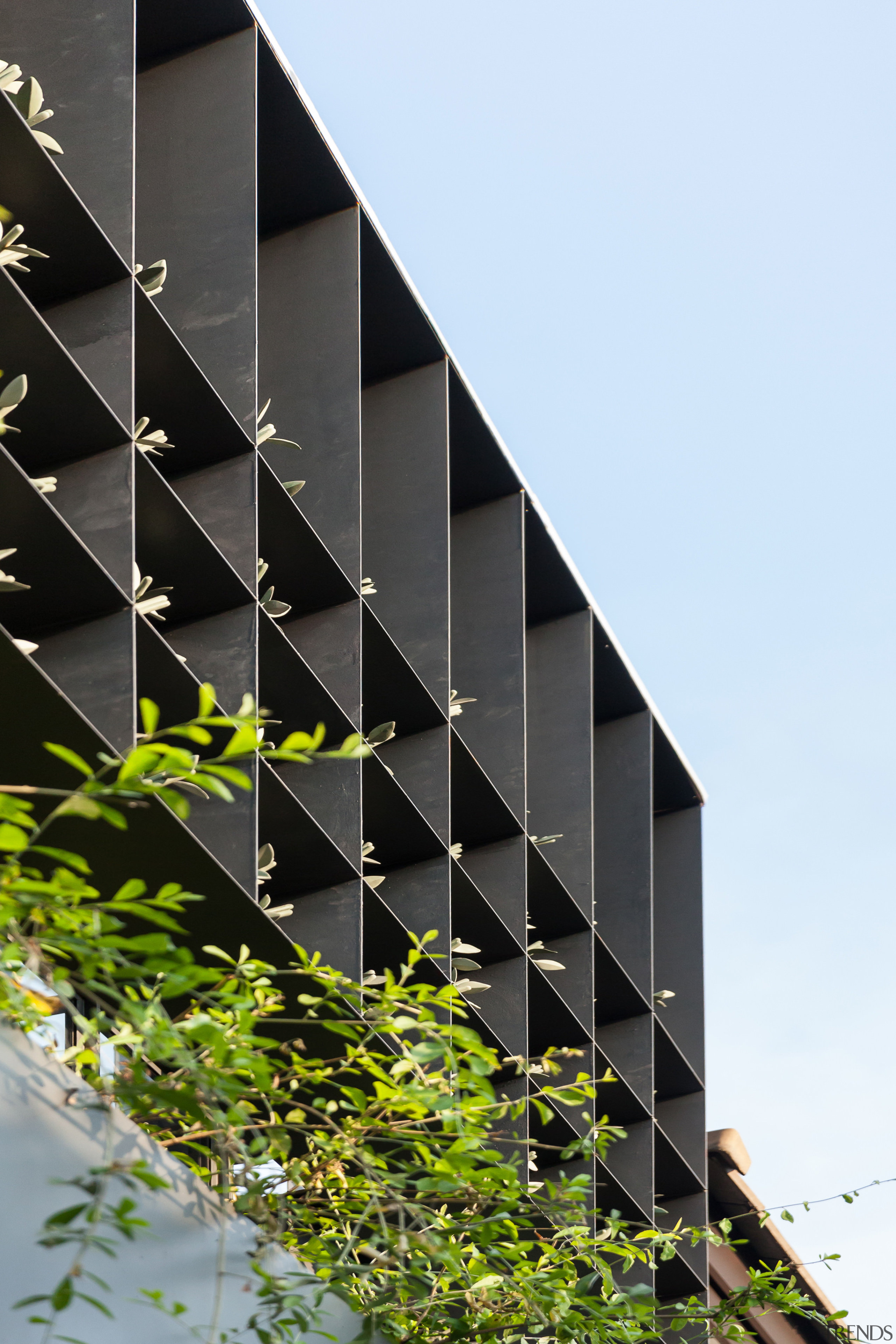 Tiny olive leaves poke out of cubicles on building, house, residential area, black, white, Phongphat,  Anonym Studio